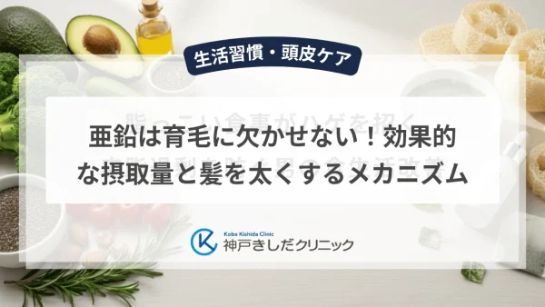 亜鉛は育毛に欠かせない！効果的な摂取量と髪を太くするメカニズム