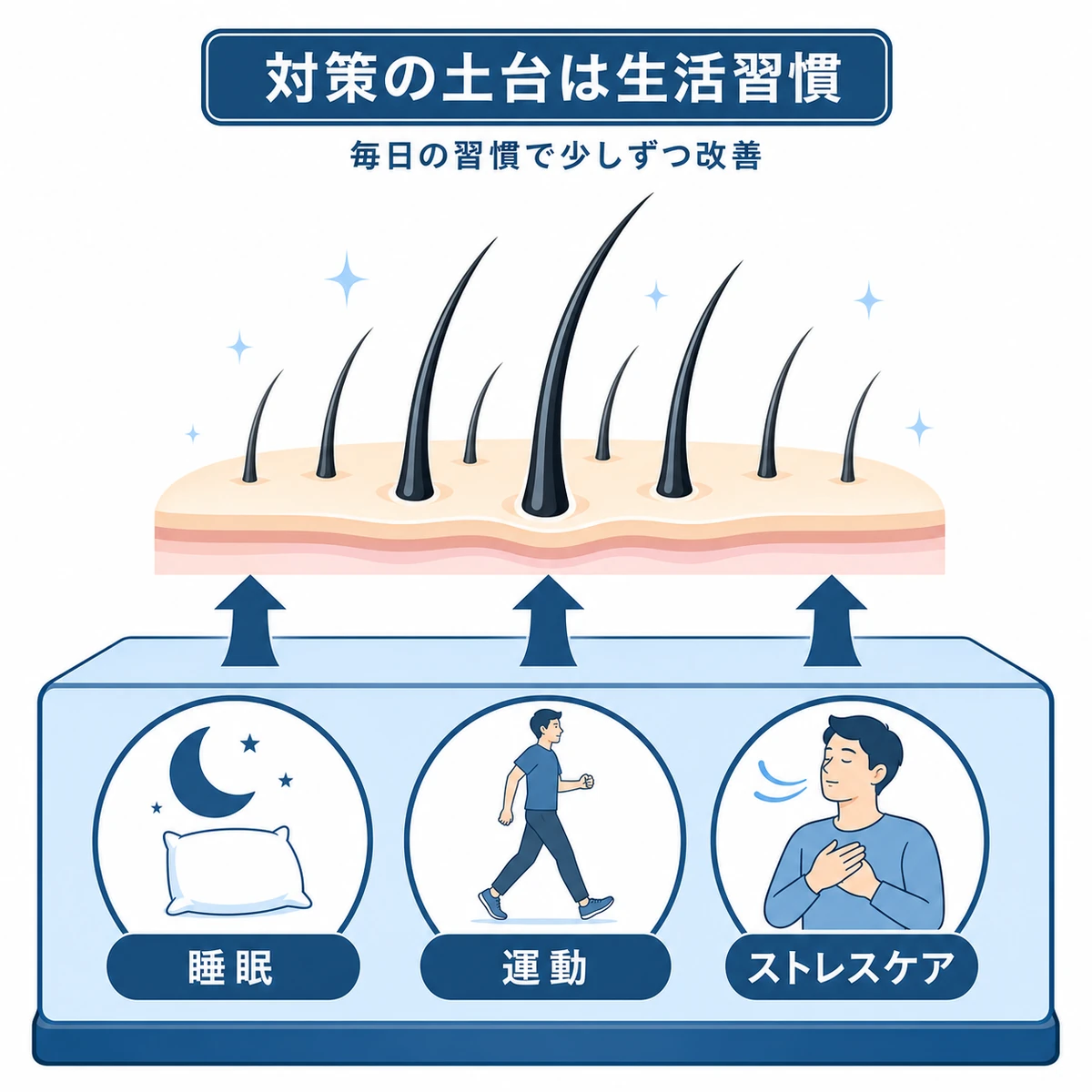 睡眠や運動などの生活習慣が髪の健康を支える土台となることを表した医療イラスト