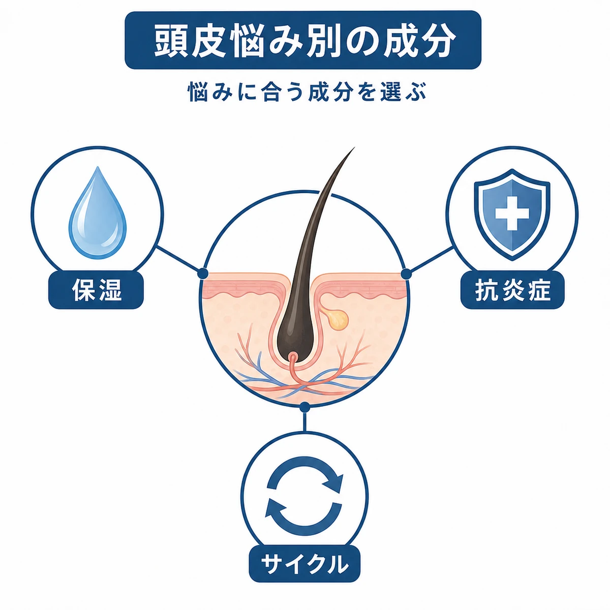 頭皮の悩みに応じた保湿・抗炎症・ヘアサイクルの成分の関係を表した医療イラスト