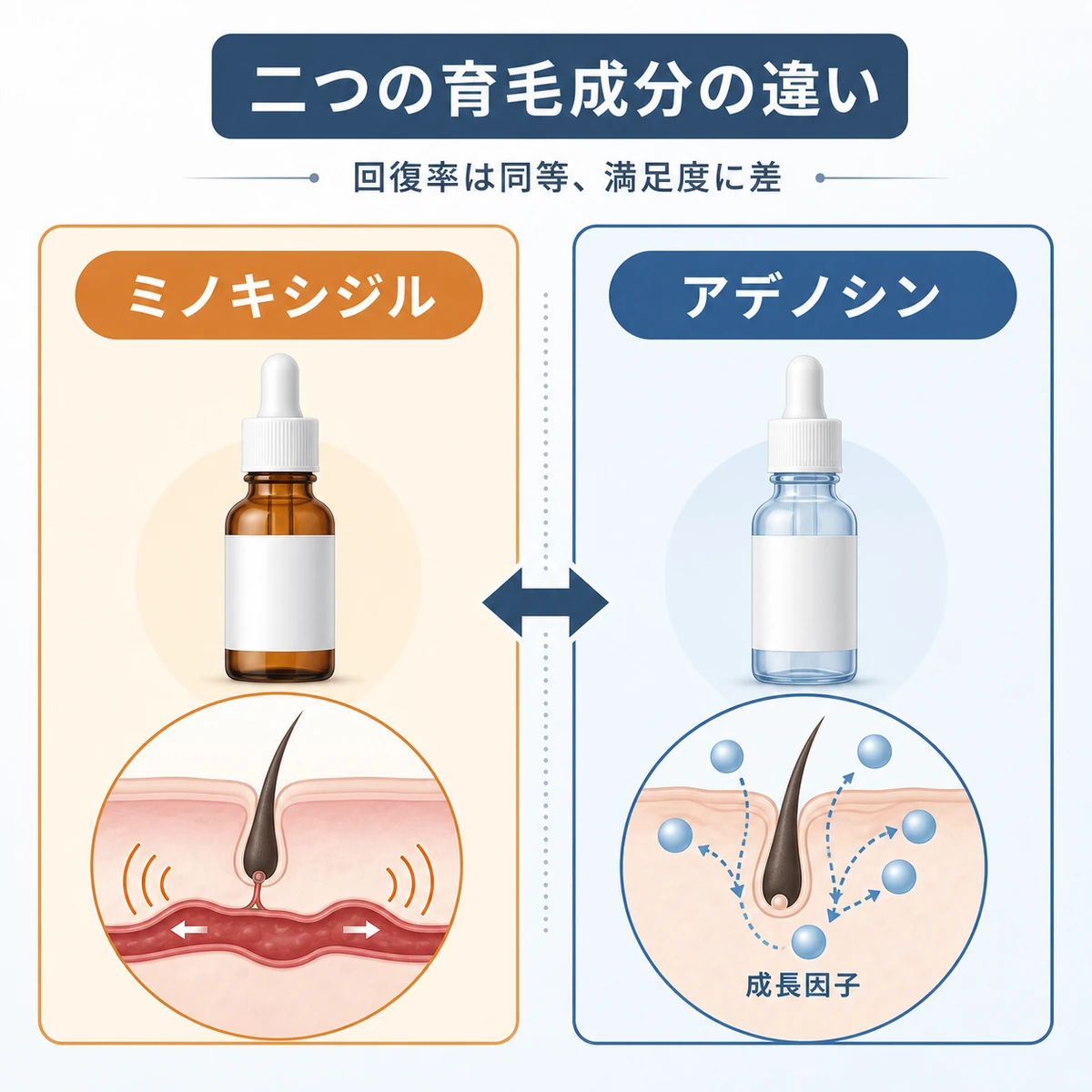 ミノキシジルとアデノシンという二つの育毛成分を並べて特徴を対比した医療イラスト