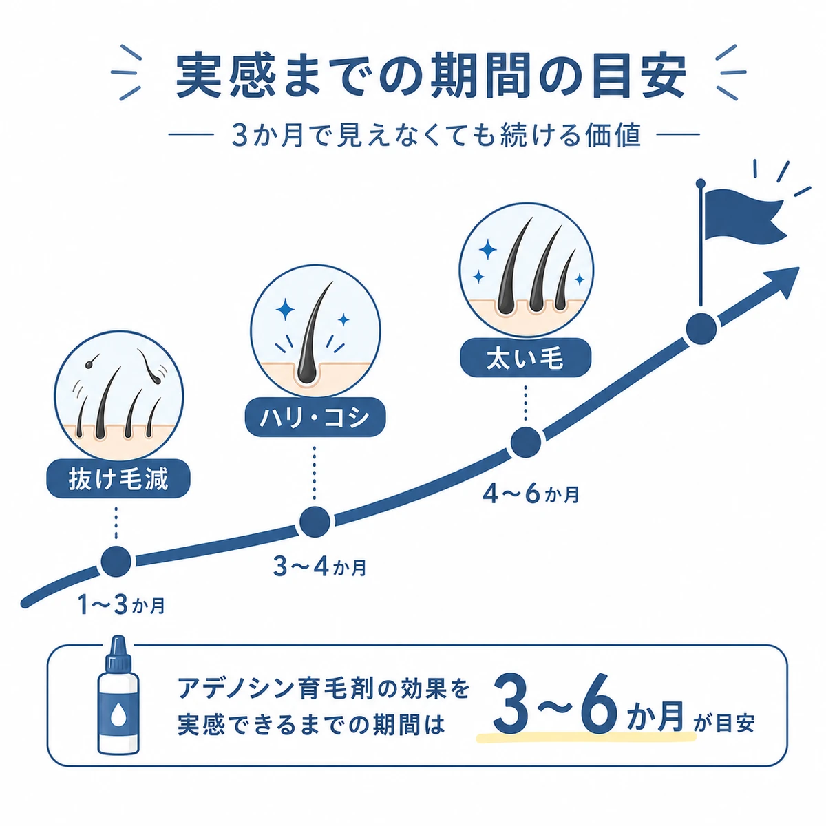 アデノシン育毛剤の効果を実感するまでの段階を上向きの弧で表した医療イラスト