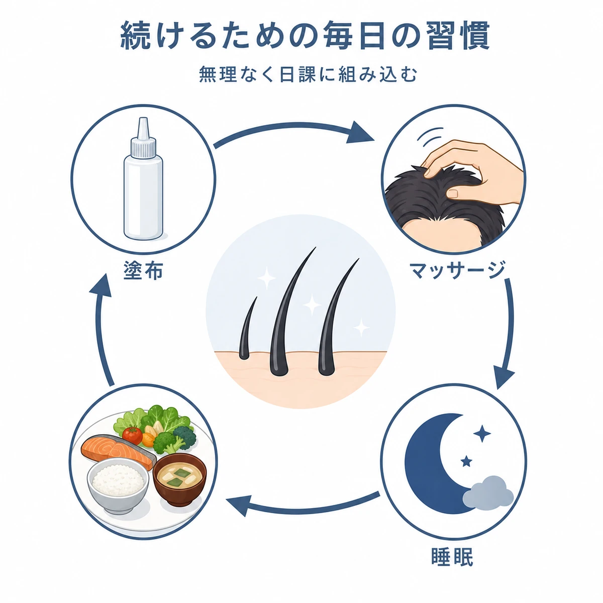 アデノシン育毛剤の効果を支える毎日の生活習慣を円環サイクルで表した医療イラスト