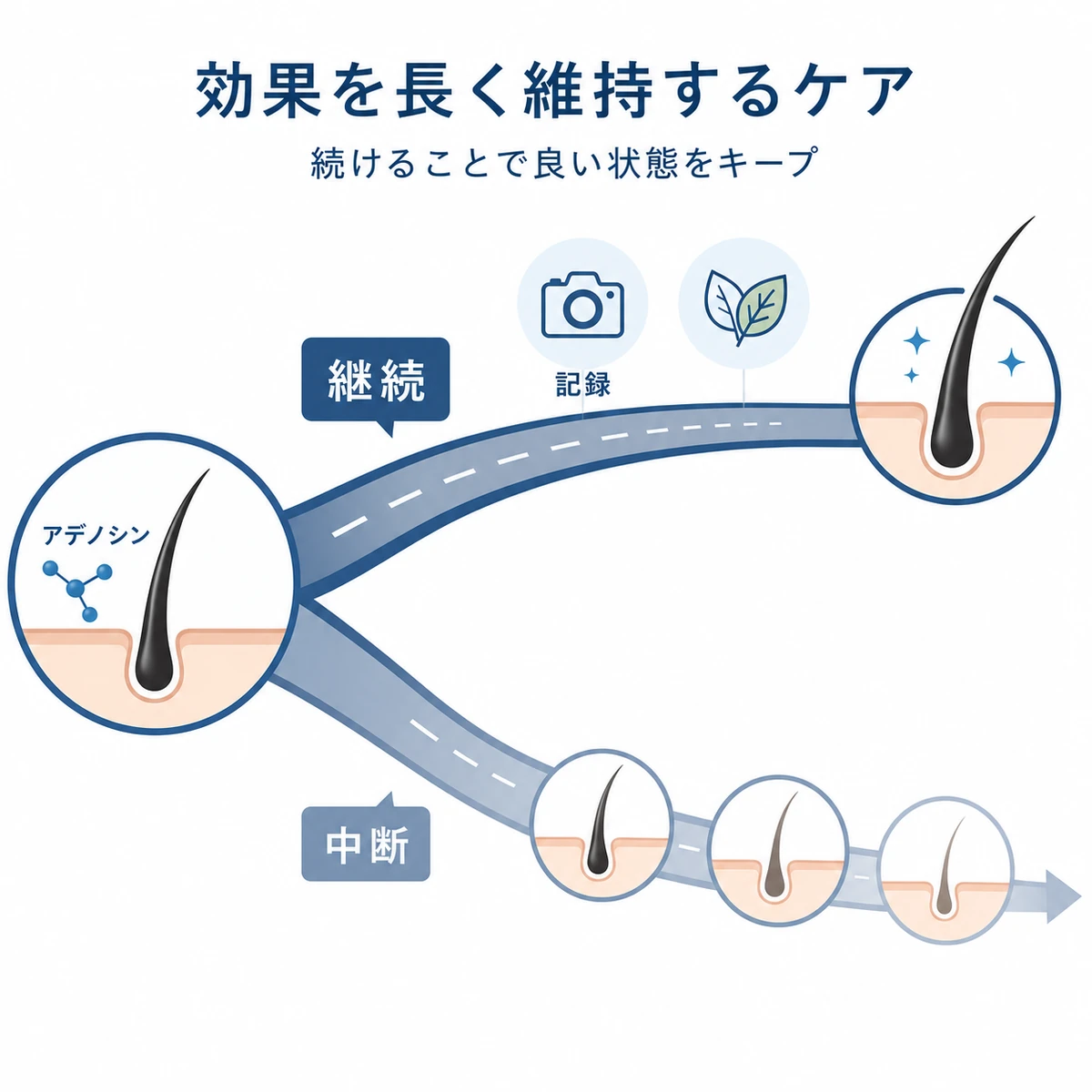 アデノシンの効果を維持する継続ケアと中断した場合の違いを2ルートで対比した医療イラスト