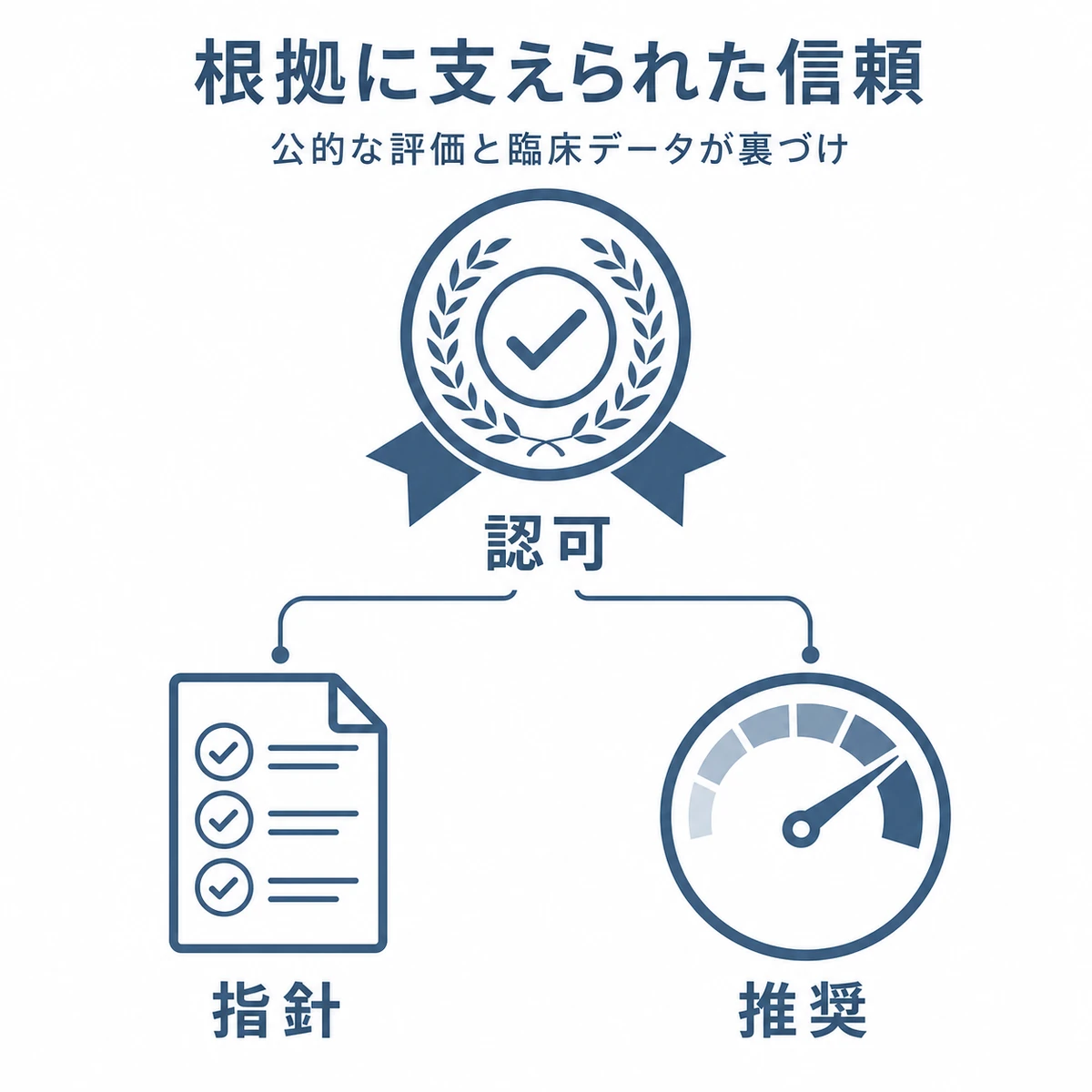 アデノシンの信頼性を公的認可とガイドライン評価のアイコンで表した医療イラスト
