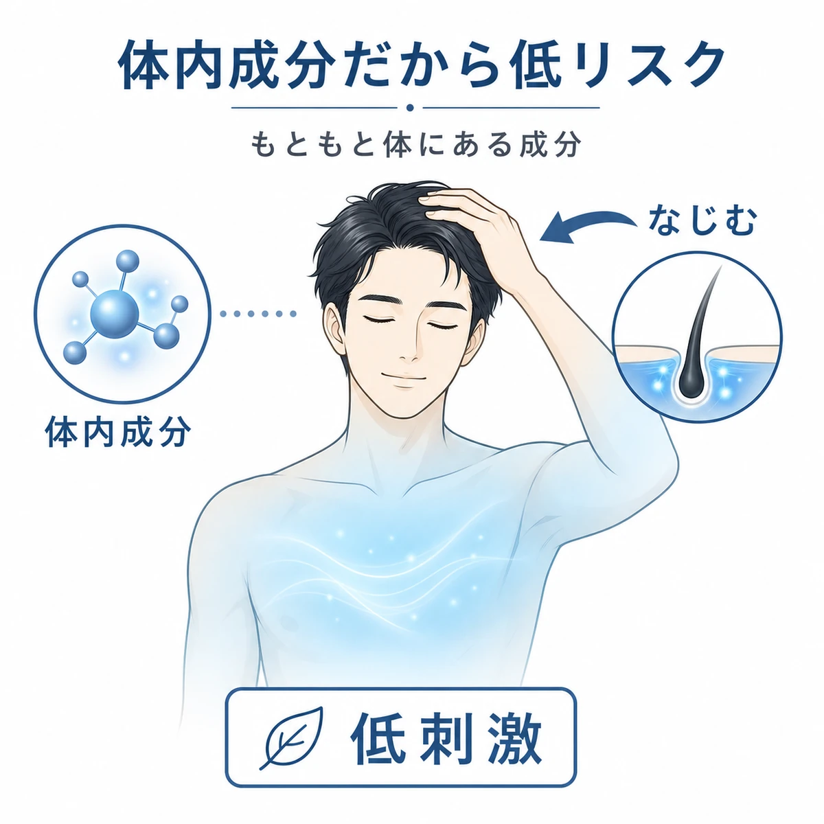 体内成分であるアデノシンが低刺激で頭皮になじむ様子を表した医療イラスト