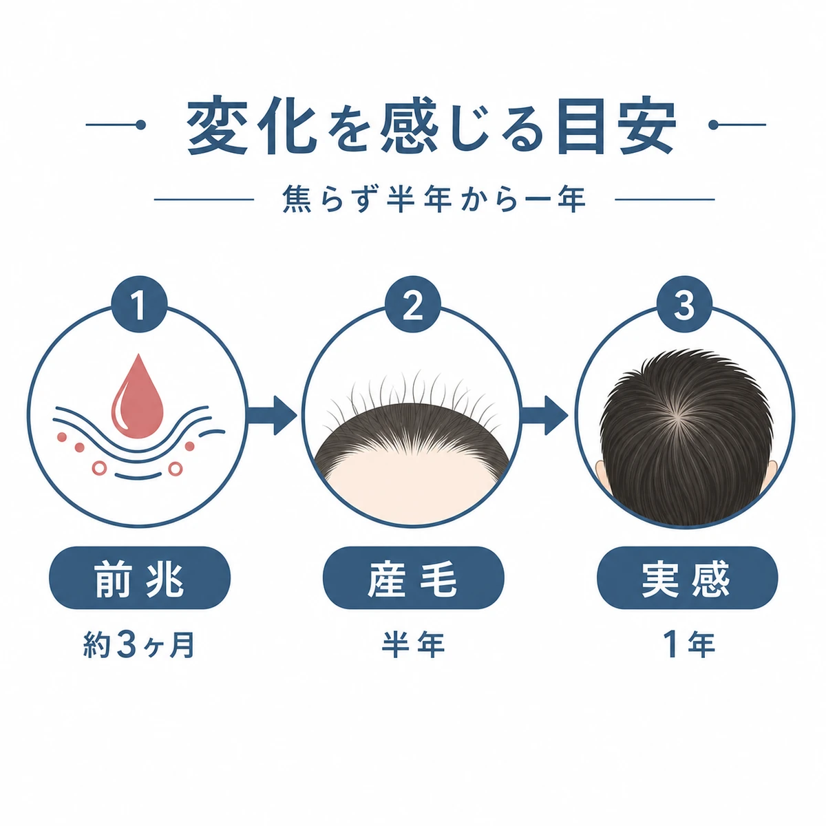 アデノシンの変化を感じるまでの期間の目安を段階で表した医療イラスト