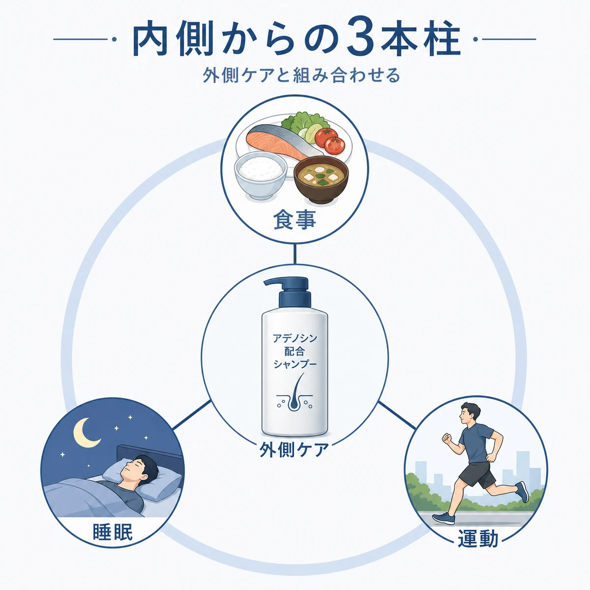 食事・睡眠・運動の3本柱と外側ケアを組み合わせた総合的な薄毛ケアを表した医療イラスト