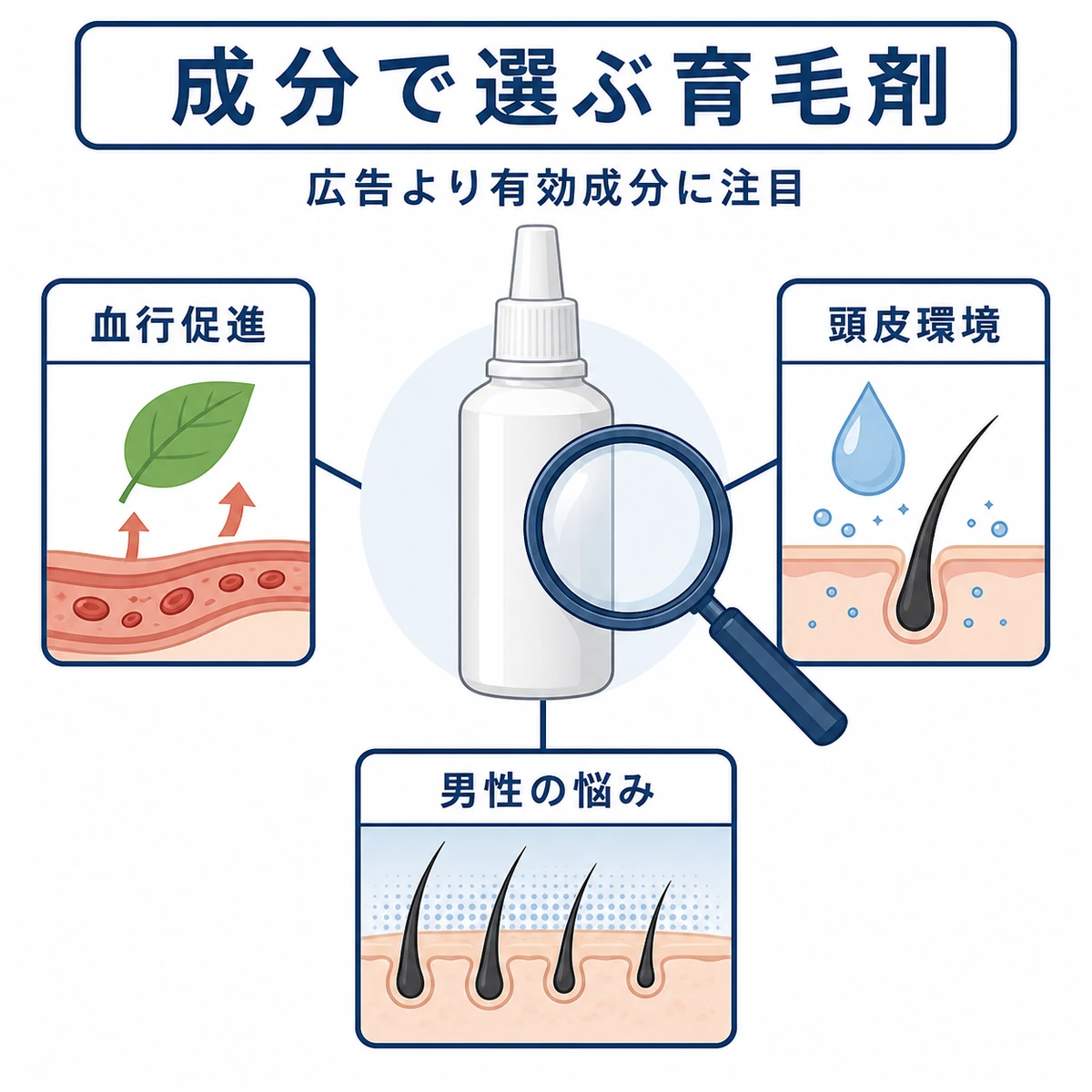 有効成分の3つの視点で育毛剤を選ぶポイントを表したイラスト