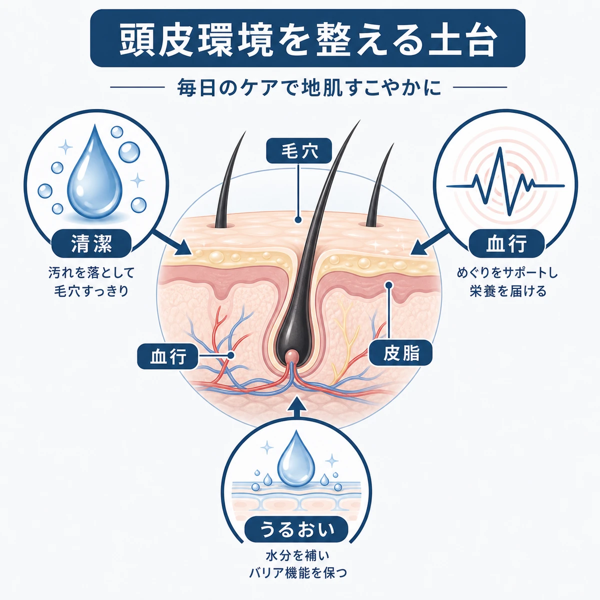 ヘアトニックが頭皮の清潔と血行とうるおいを整えるしくみを表した図解イラスト