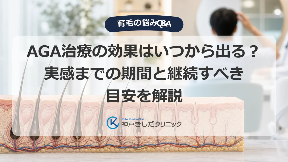 AGA治療の効果が現れるまでの期間と毛周期を示すイメージ