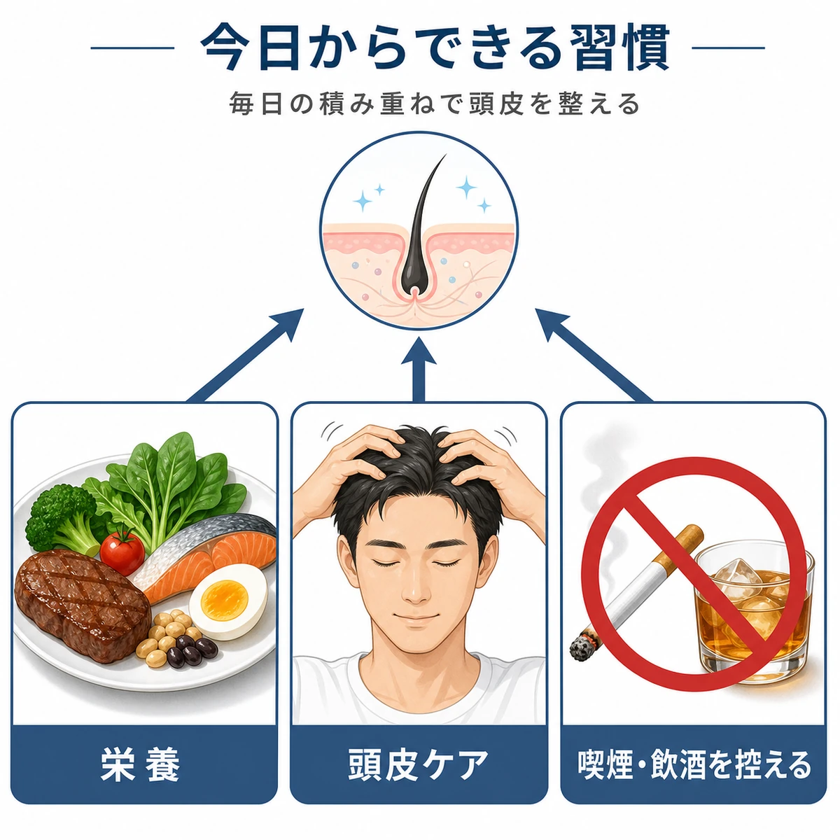 栄養と頭皮ケア、喫煙飲酒を控える生活習慣で頭皮環境を整える工夫を表した医療イラスト