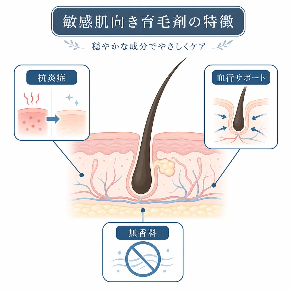 抗炎症や血行サポートなど穏やかな成分が頭皮を整える仕組みを表した医療イラスト