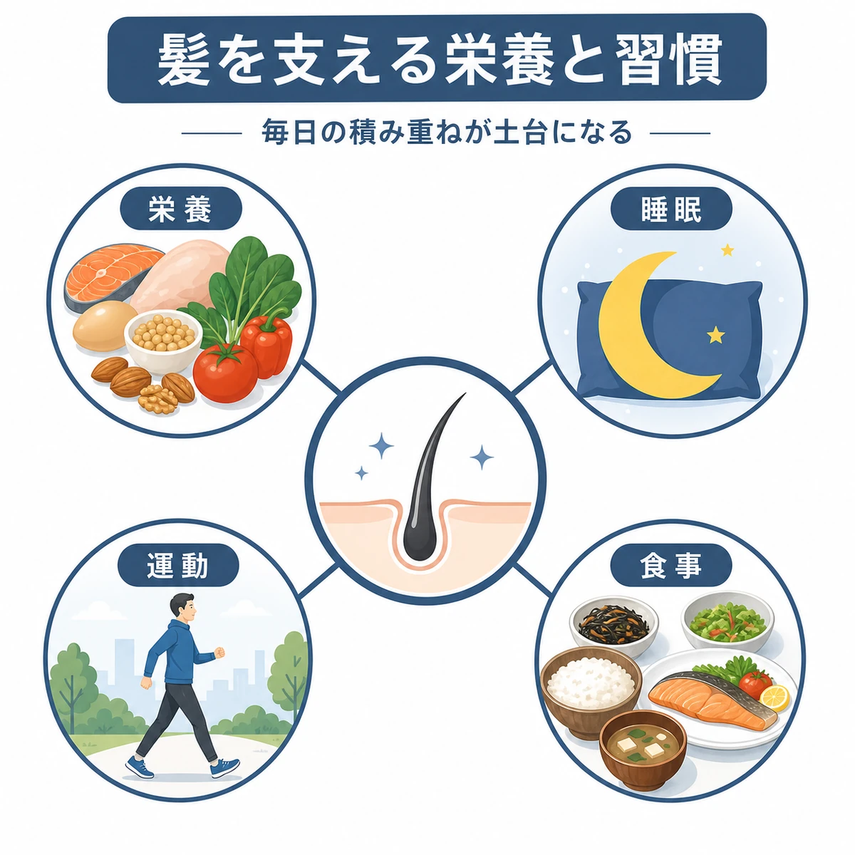 育毛を支える栄養素と生活習慣を中心から放射状に表した医療イラスト