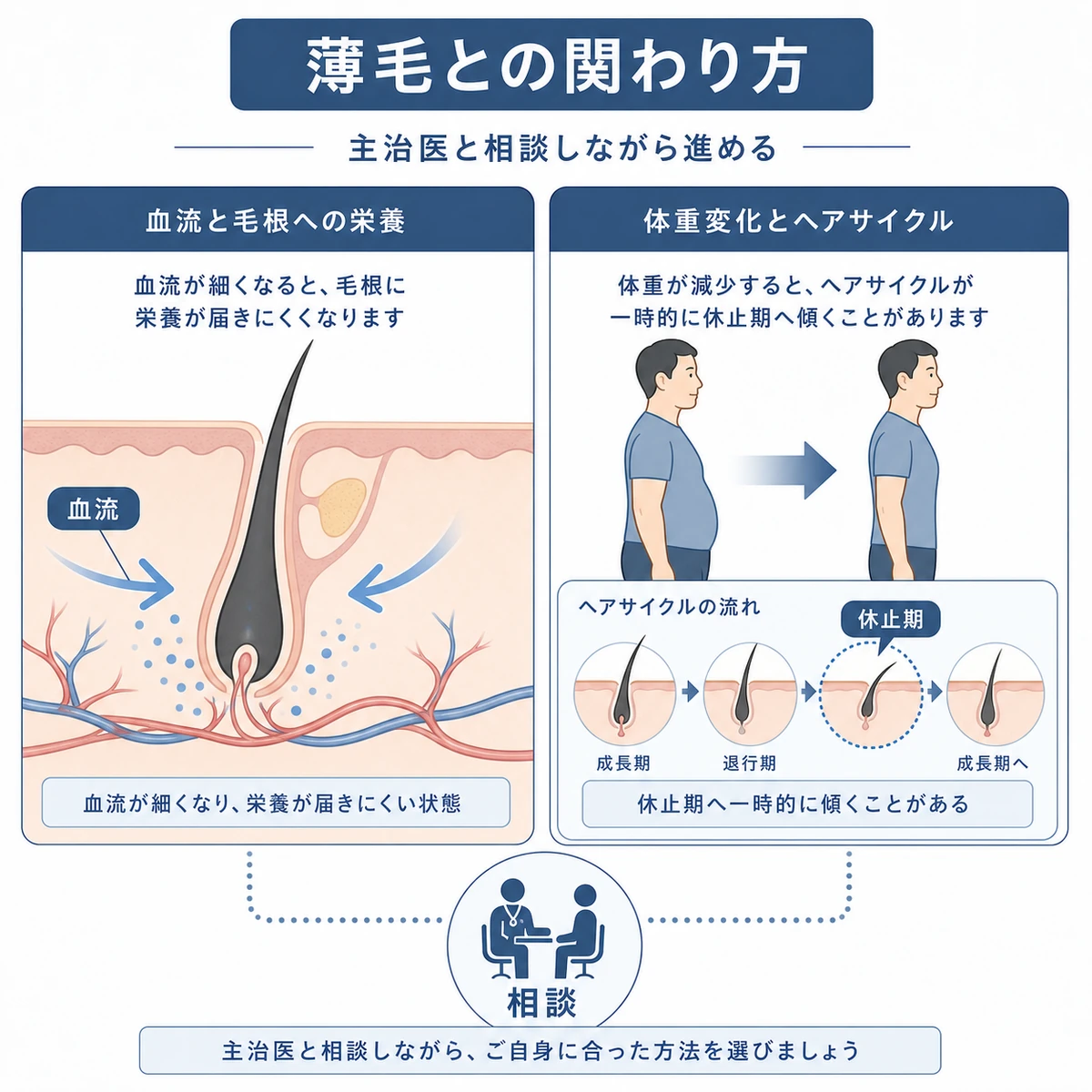 糖尿病の血流低下と体重減少に伴う休止期脱毛の関わりを左右で対比した医療イラスト