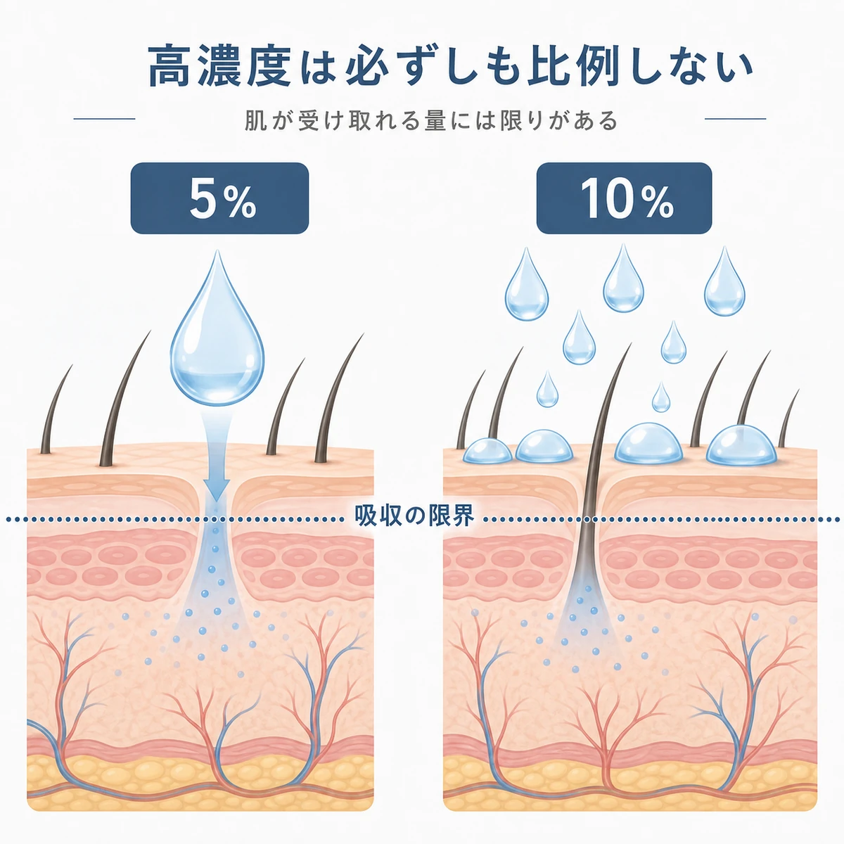 配合濃度を上げても肌が吸収できる量には限りがあることを対比で表した医療イラスト