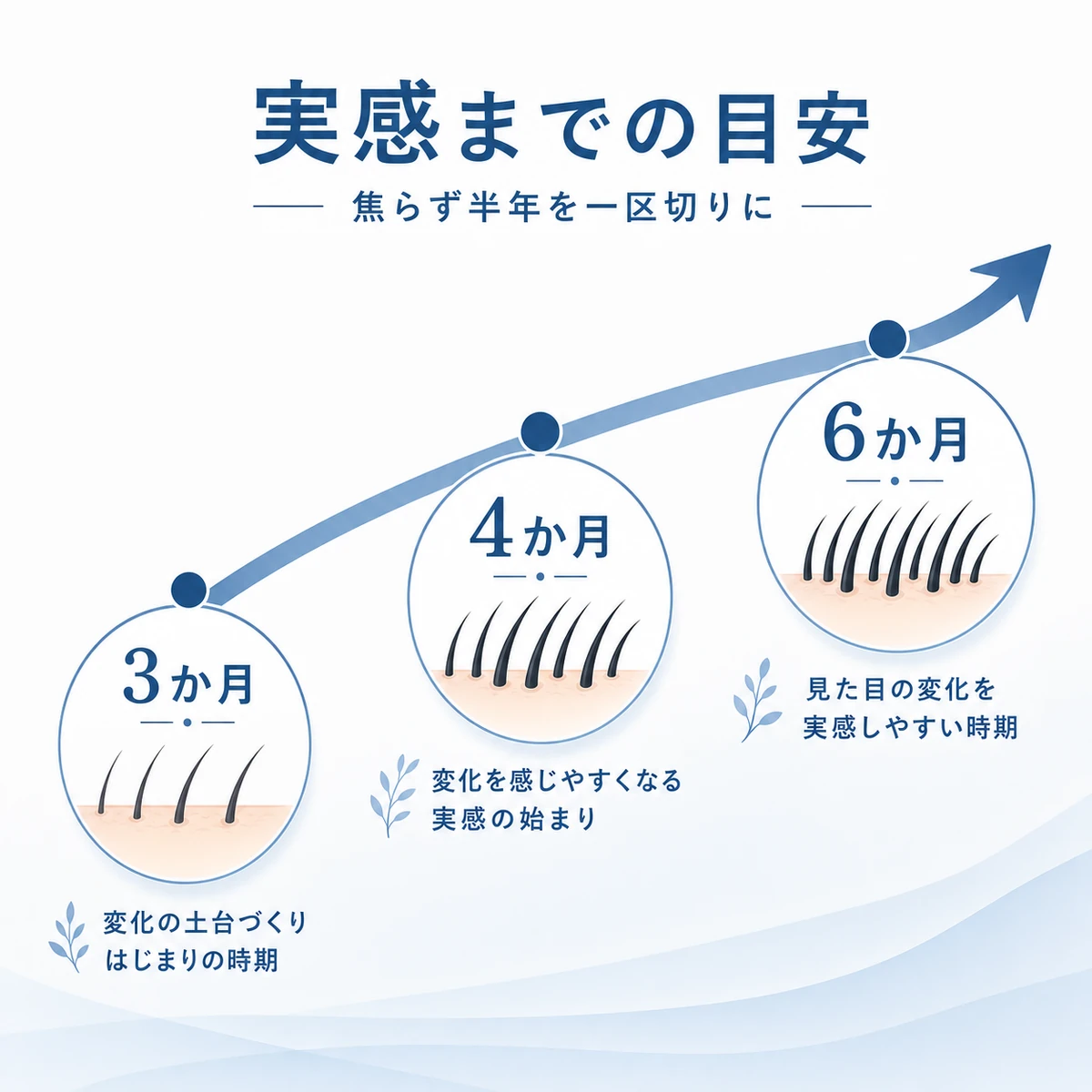 キャピキシルの効果を実感するまでの3か月から6か月の目安を弧で表した医療イラスト
