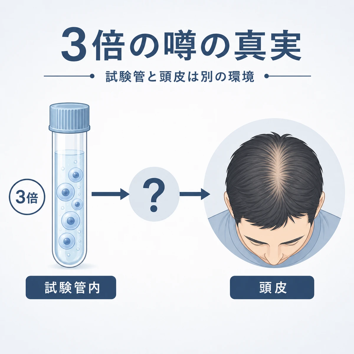 3倍という数値が培養細胞データで実際の頭皮とは異なることを表した医療イラスト
