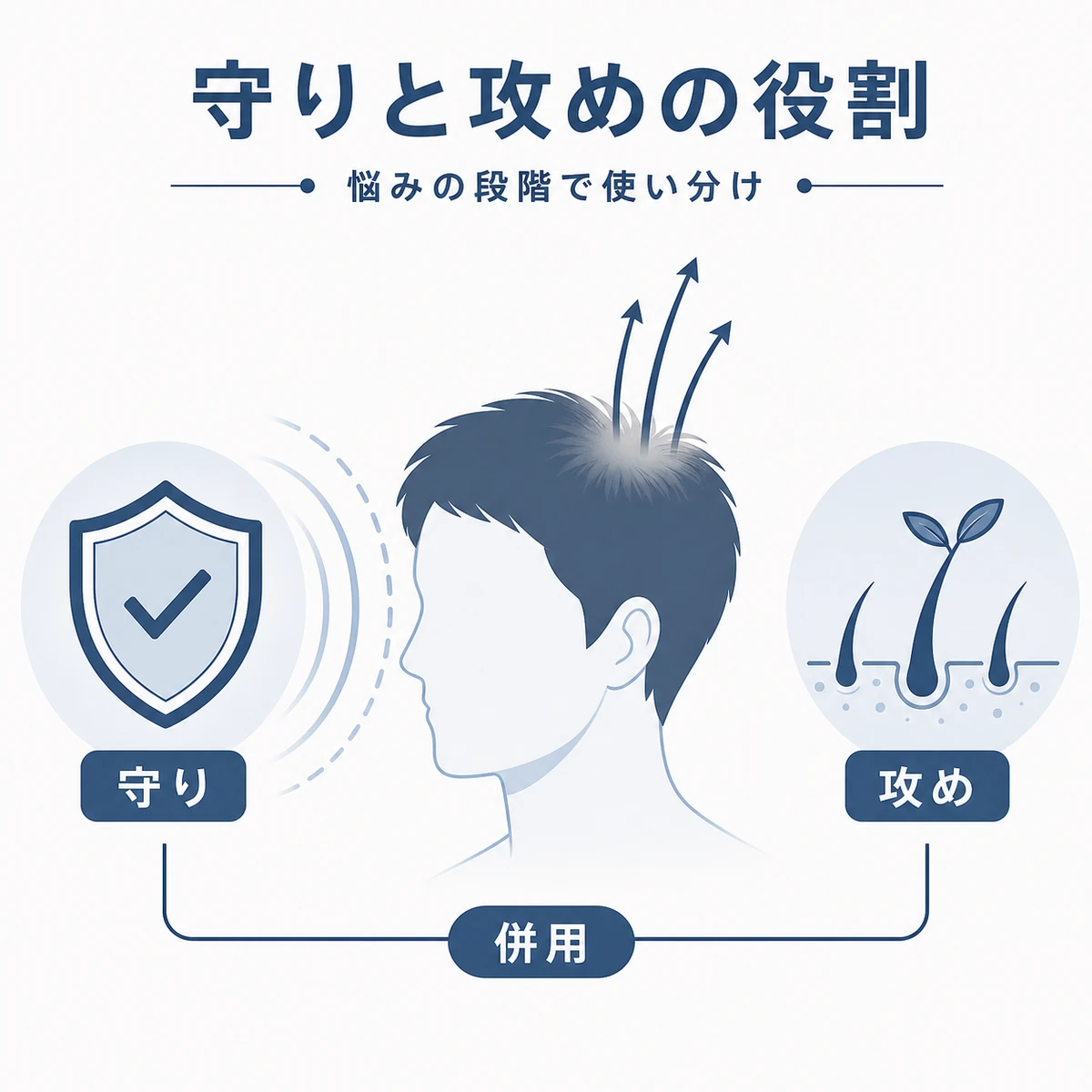 キャピキシルの守りとリデンシルの攻めという作用の違いを頭部を中心に表した育毛イラスト
