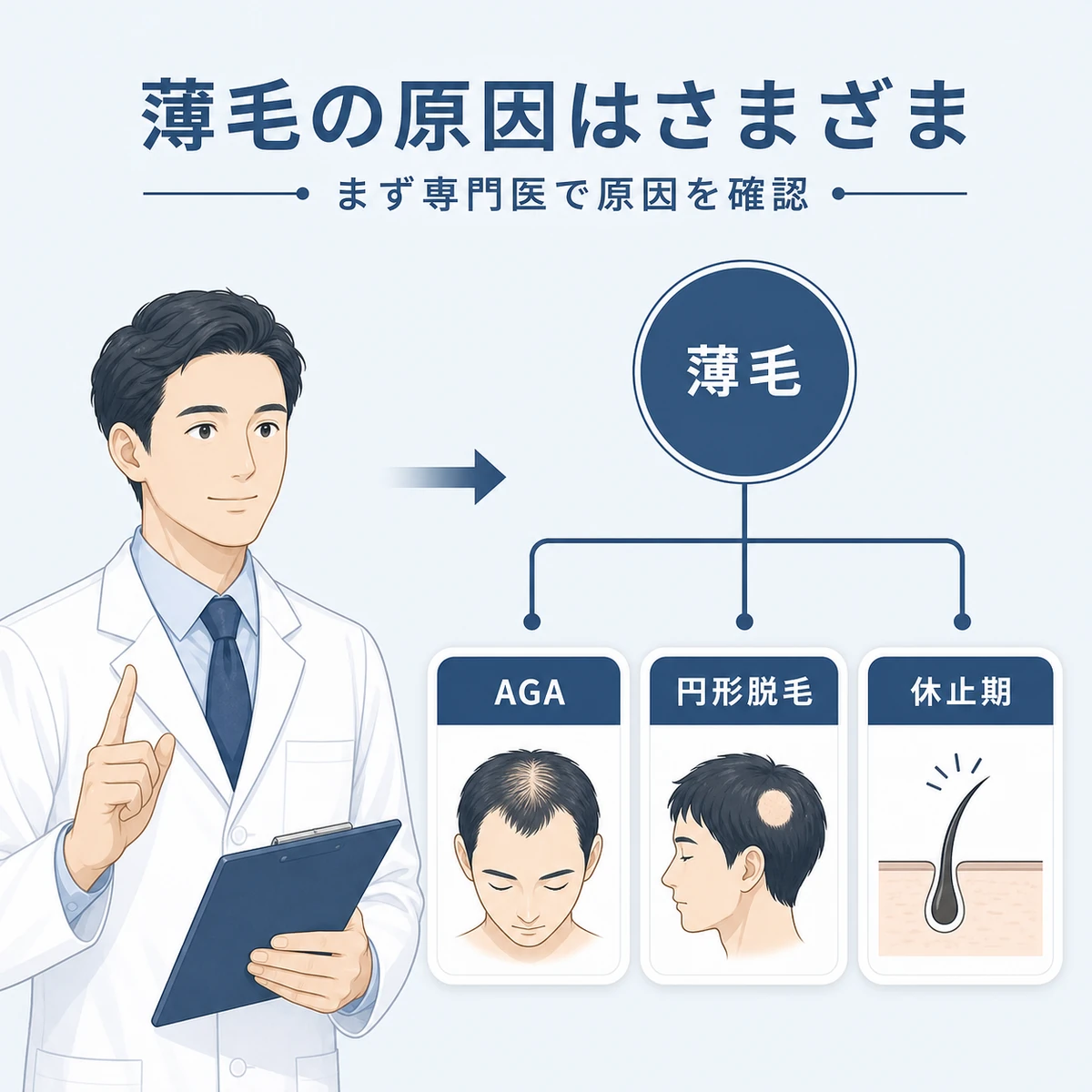 薄毛の原因の分類と男性医師への相談の大切さを表した育毛イラスト