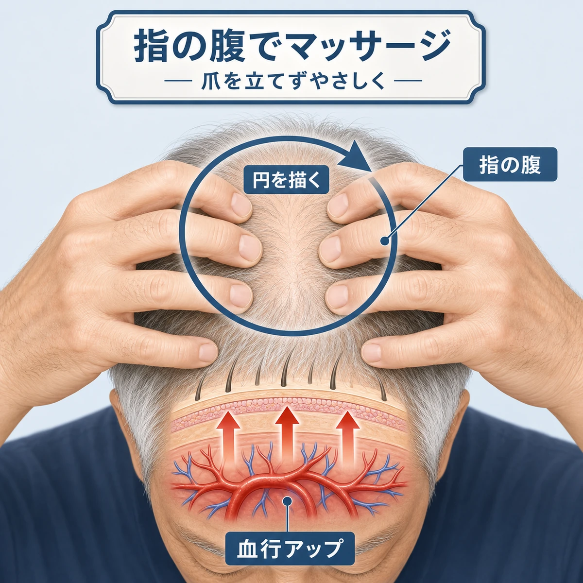 指の腹で円を描くように頭皮をほぐして血行を促す介護マッサージのやり方を表した医療イラスト