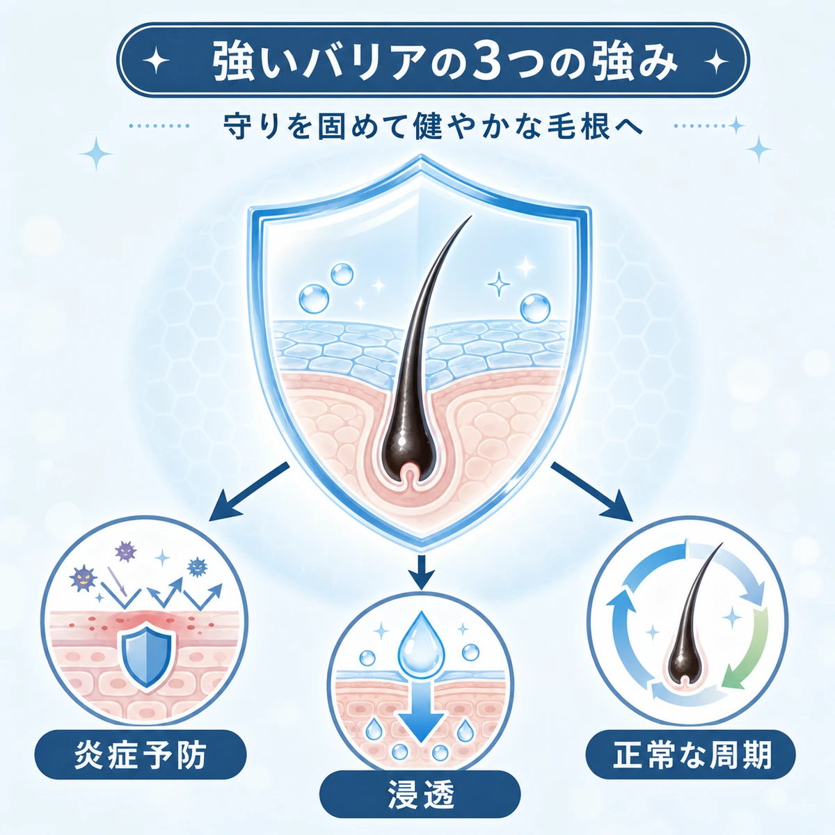 盾で守られた毛根から炎症予防や浸透など三つの強みが放射状に広がる様子を表した医療イラスト