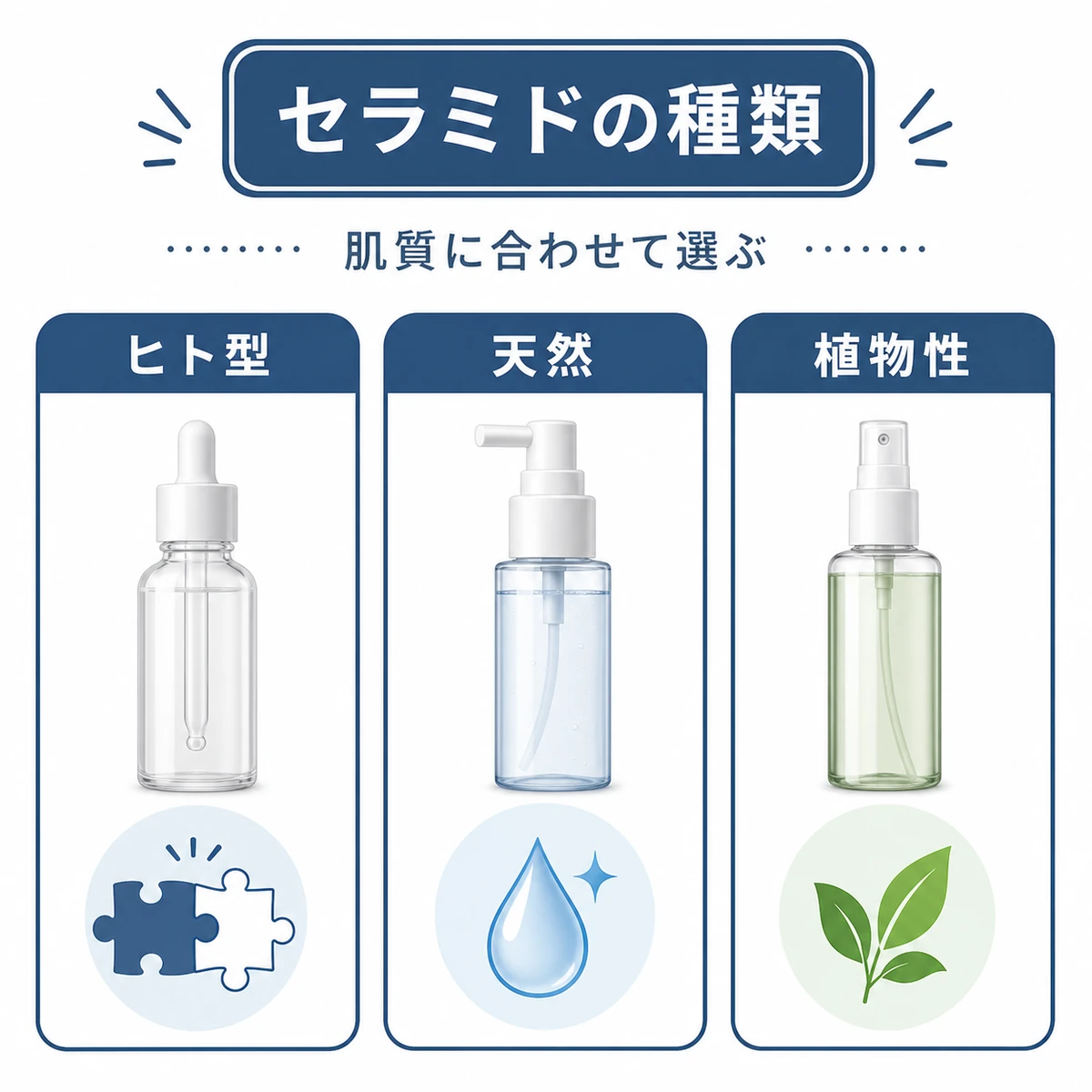 ヒト型と天然と植物性のセラミドの特徴を三枚のカードで比べた医療イラスト