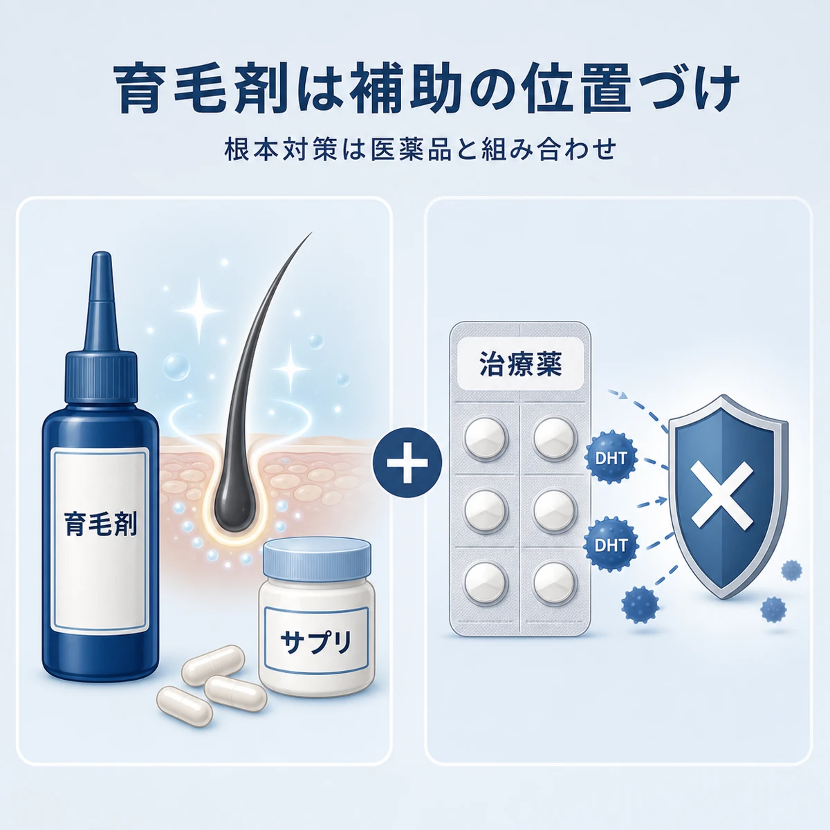 育毛剤やサプリメントと治療薬の役割の違いを表した医療イラスト