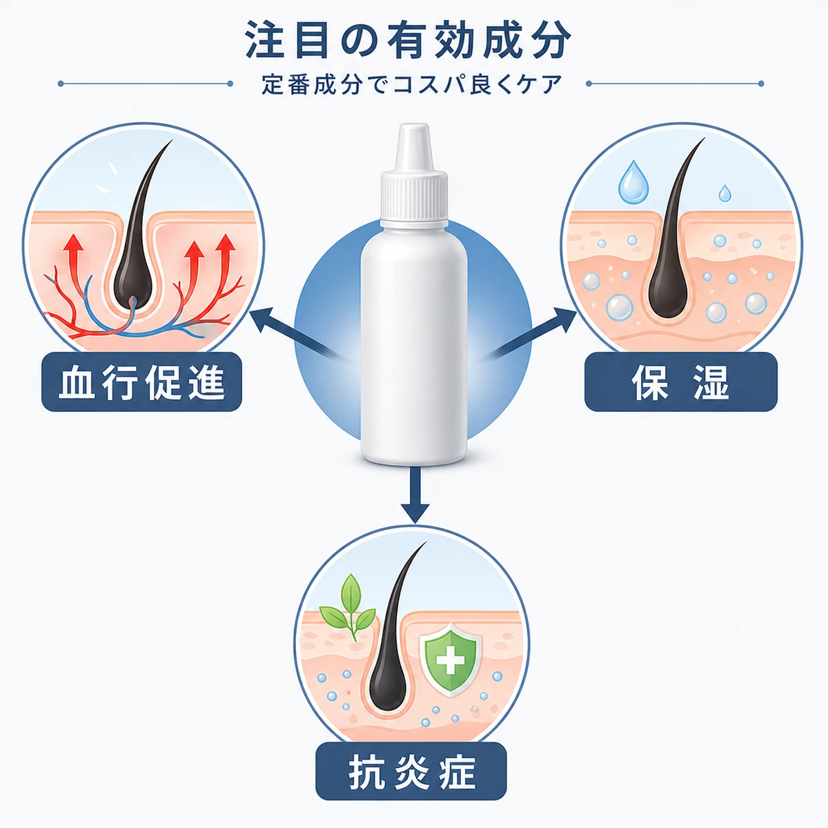 安い育毛剤に含まれる定番の有効成分とその役割を表した図解イラスト