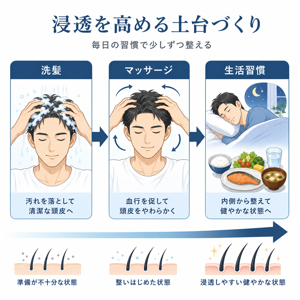 洗髪からマッサージ生活習慣へと頭皮環境を整える流れを表した医療イラスト