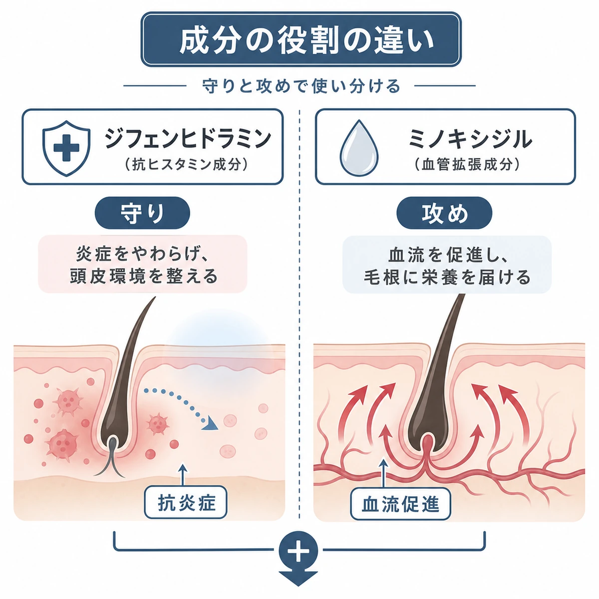 ジフェンヒドラミンとミノキシジルの役割の違いを守りと攻めで対比した医療イラスト