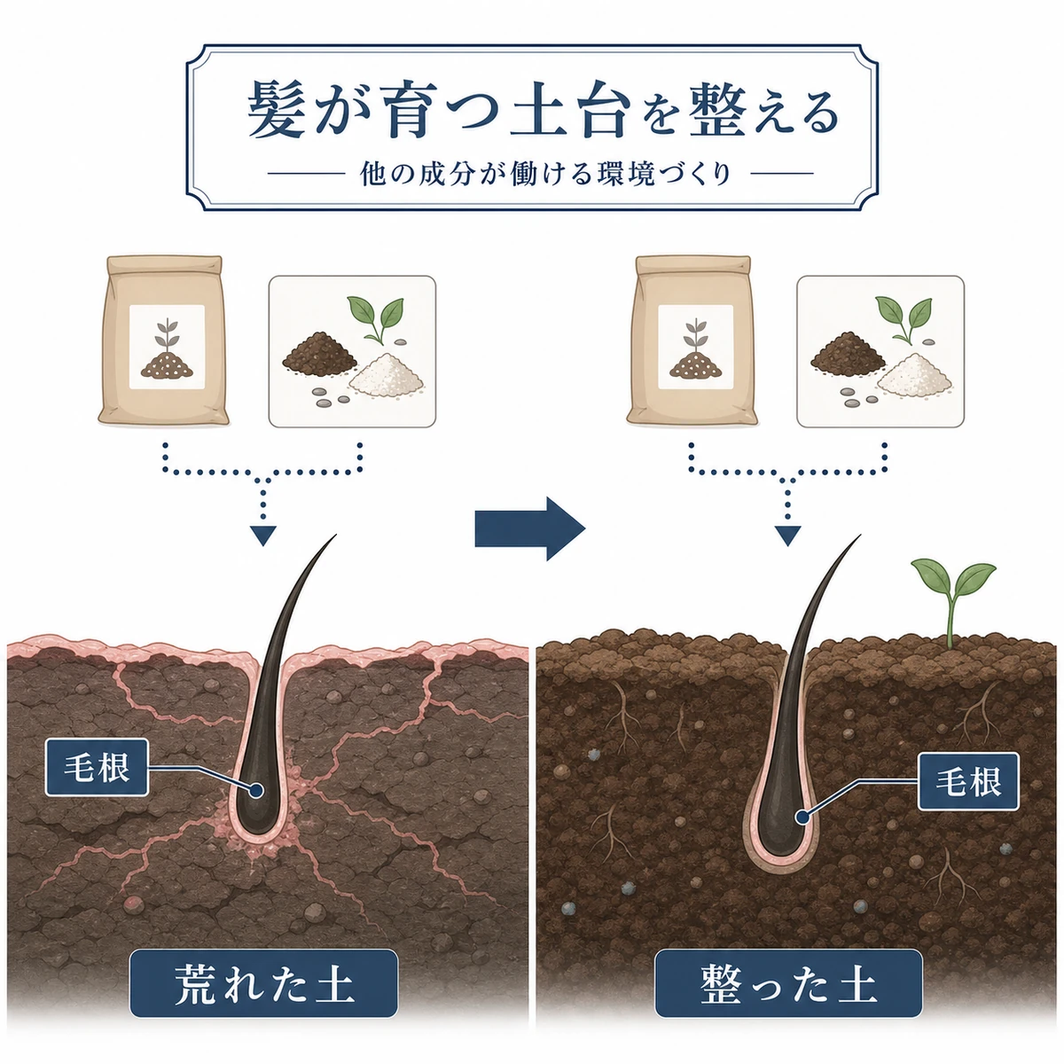 グリチルリチン酸2Kが頭皮環境を整えて髪が育つ土台になる役割を土壌にたとえた医療イラスト