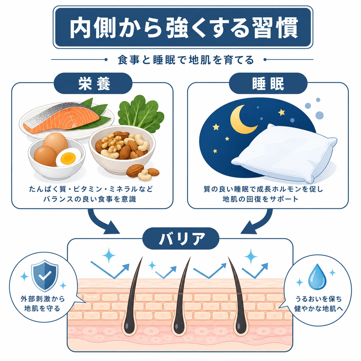食事と睡眠で頭皮のバリア機能を内側から高める生活習慣を表した医療イラスト