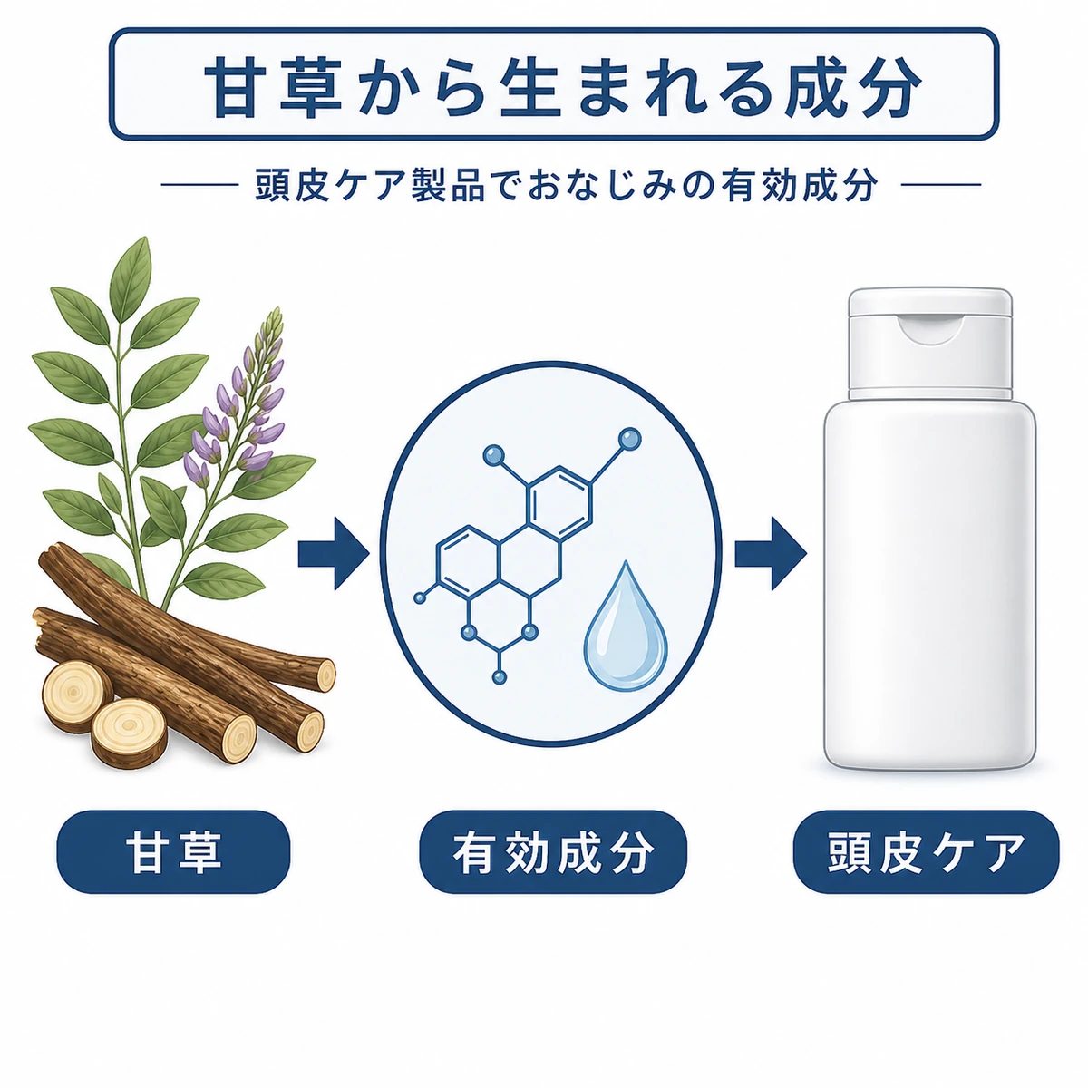 甘草の根からグリチルリチン酸ジカリウムが生まれ育毛剤に配合されるまでの流れを表した医療イラスト