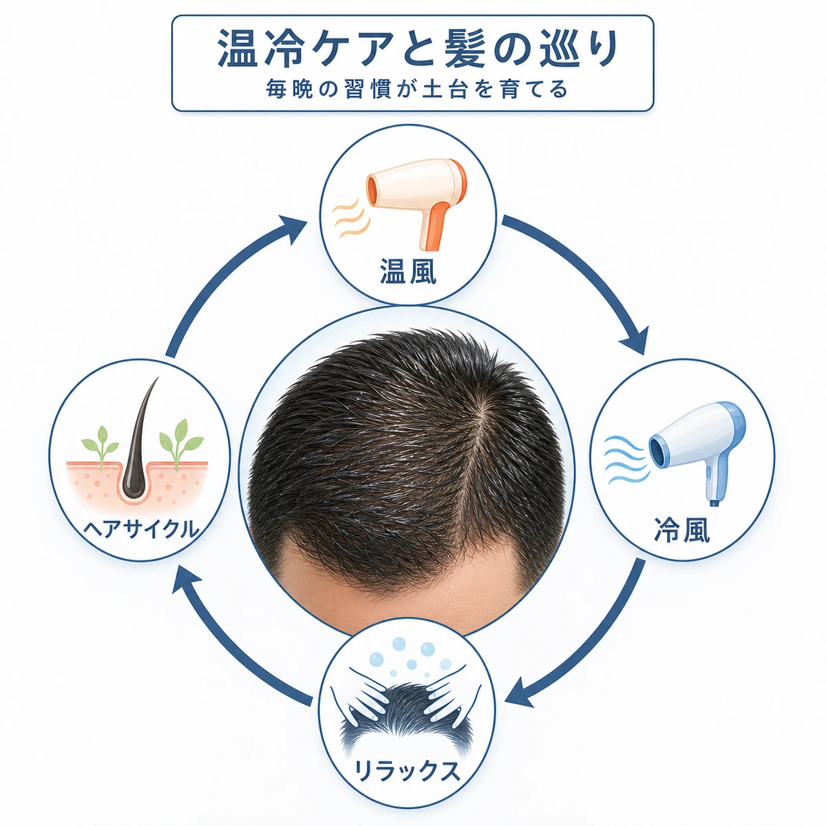 温冷ケアが自律神経を整えヘアサイクルの好循環を支える様子を表した円環の医療イラスト