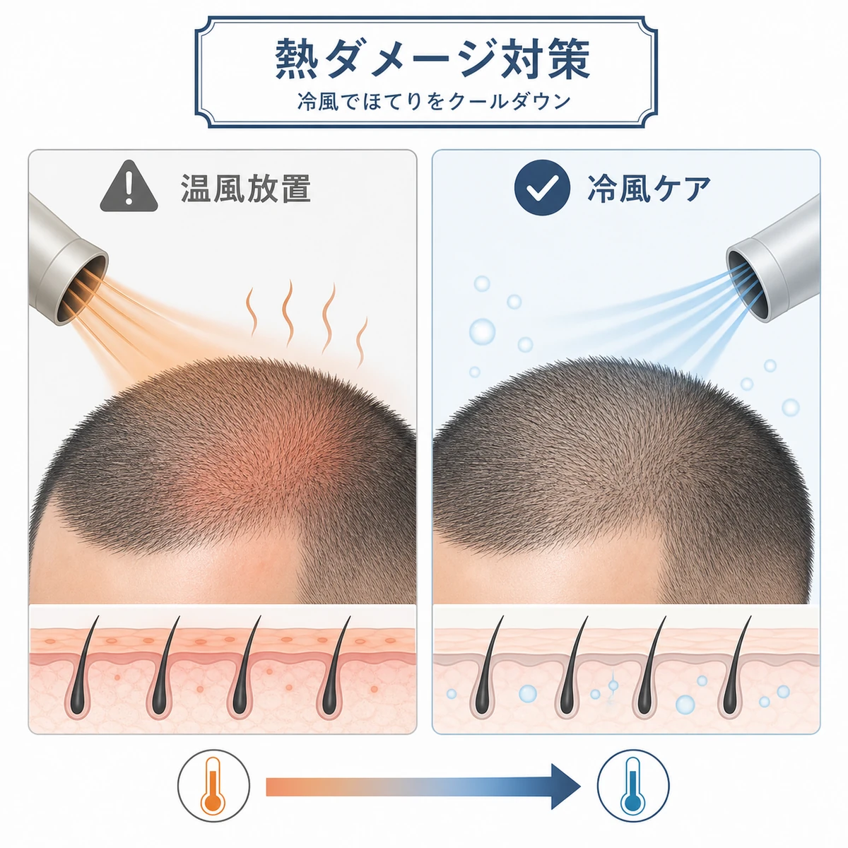 温風の当てすぎと冷風クールダウンを比べて熱ダメージから頭皮を守る様子を表した医療イラスト