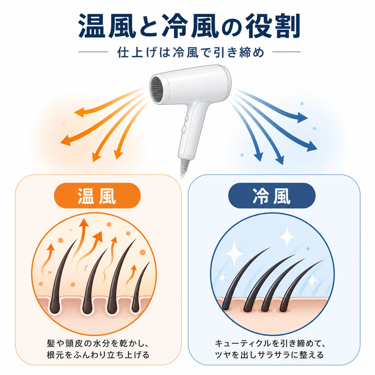 ドライヤーの温風で根元を乾かし冷風で質感を引き締める使い分けを対比した医療イラスト