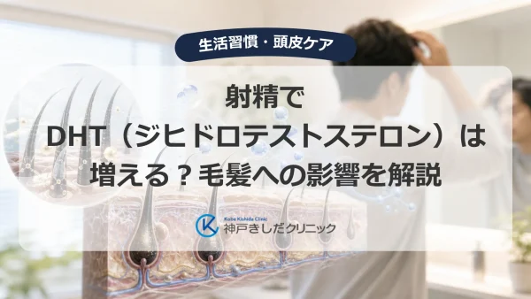 射精でDHT（ジヒドロテストステロン）は増える？毛髪への影響を解説