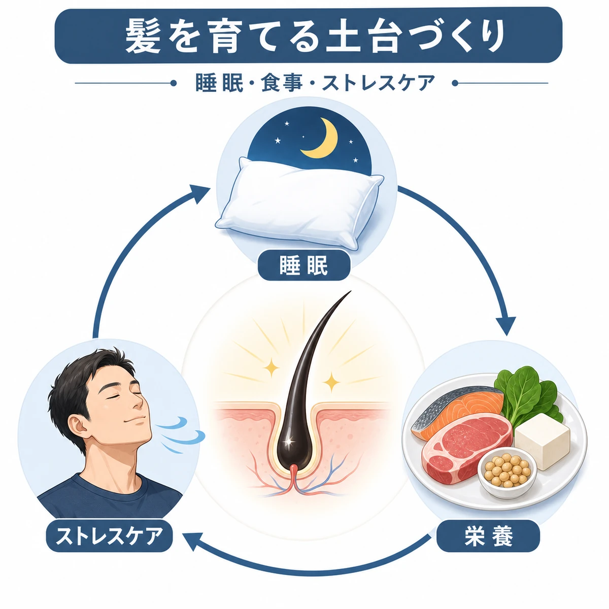 睡眠と栄養とストレスケアが髪を育てる好循環を表した円環の医療イラスト