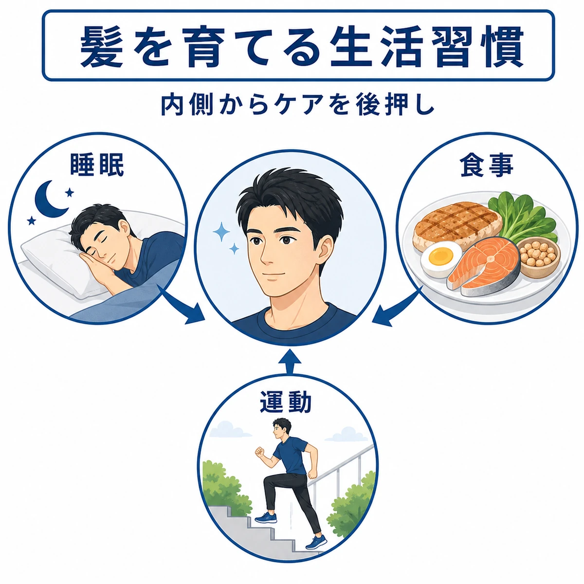 睡眠と食事と運動が髪の成長を支える生活習慣を表した医療イラスト