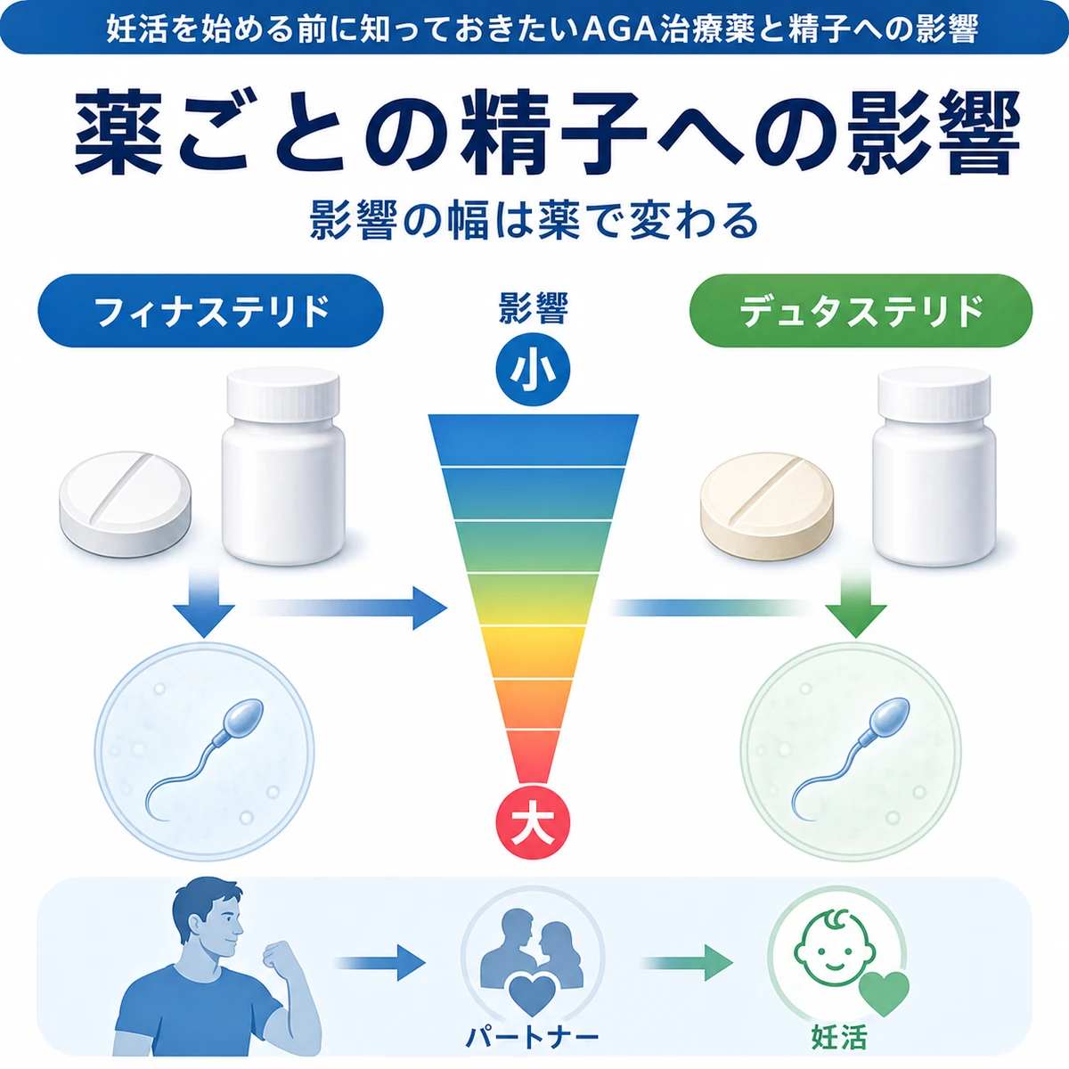 フィナステリドとデュタステリドで精子への影響の大きさが異なることを比較した医療イラスト