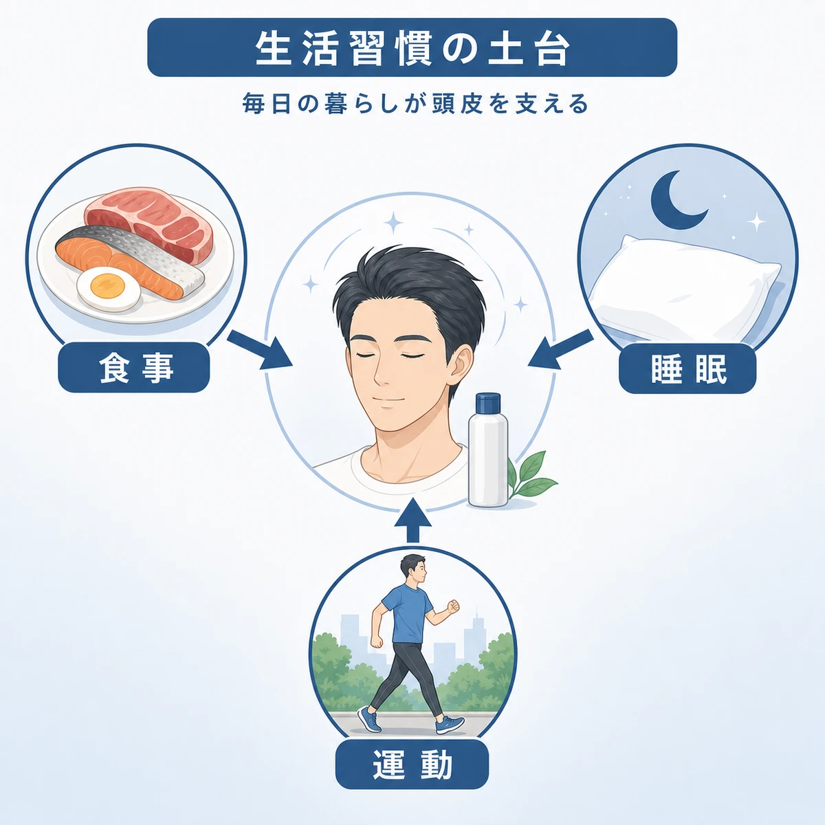 食事と睡眠と運動が頭皮の健康を支える関係を中央に集める相関図で表した医療イラスト