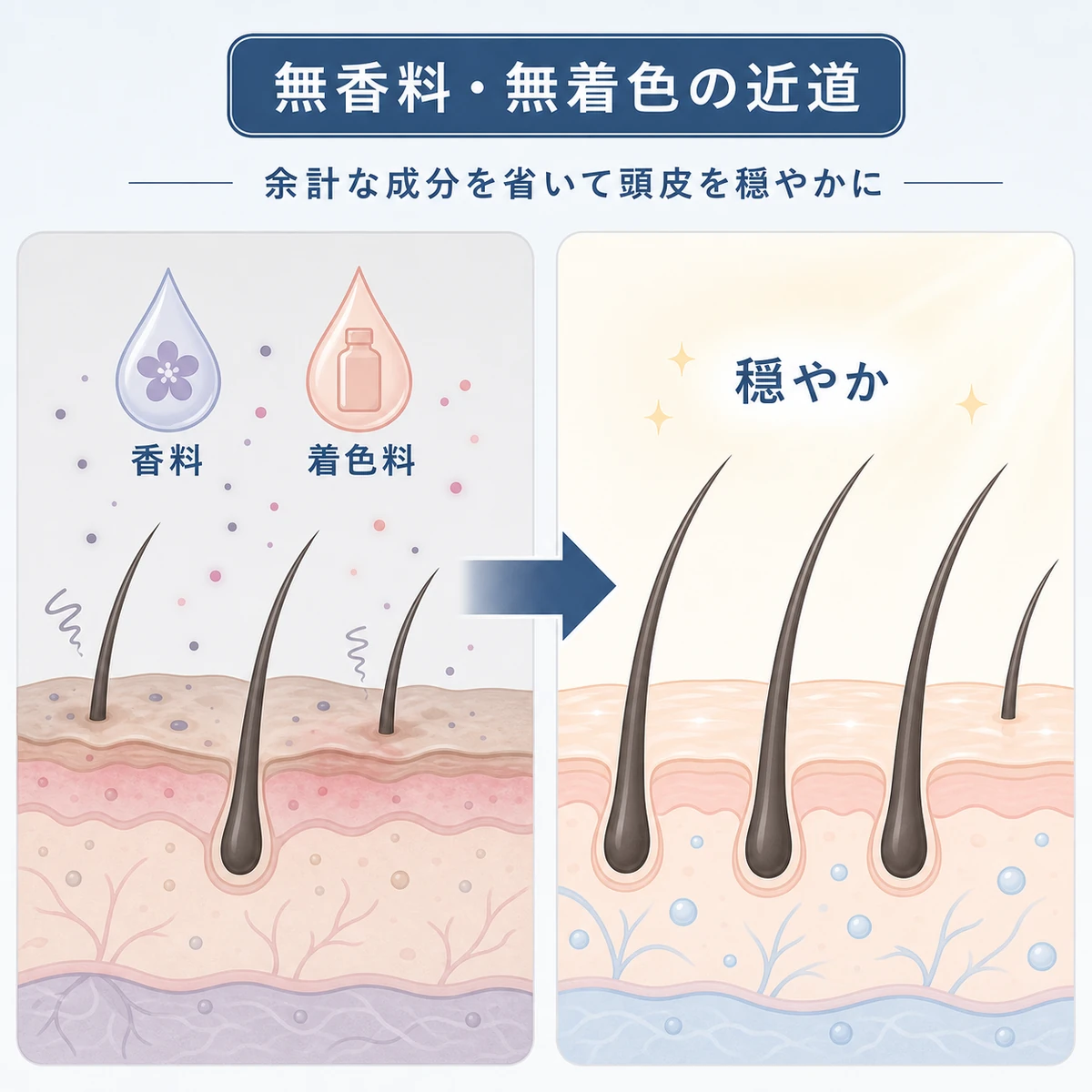 香料と着色料を省くことで頭皮環境が穏やかに整う流れを表した医療イラスト