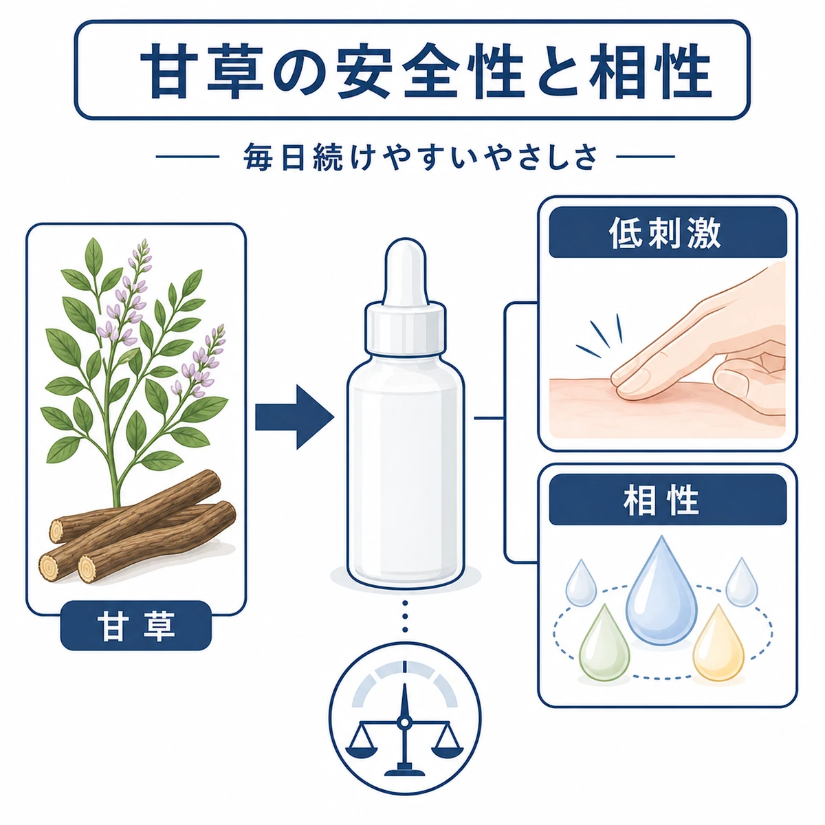 甘草由来成分の低刺激性と他成分との相性の良さを対比で表した医療イラスト