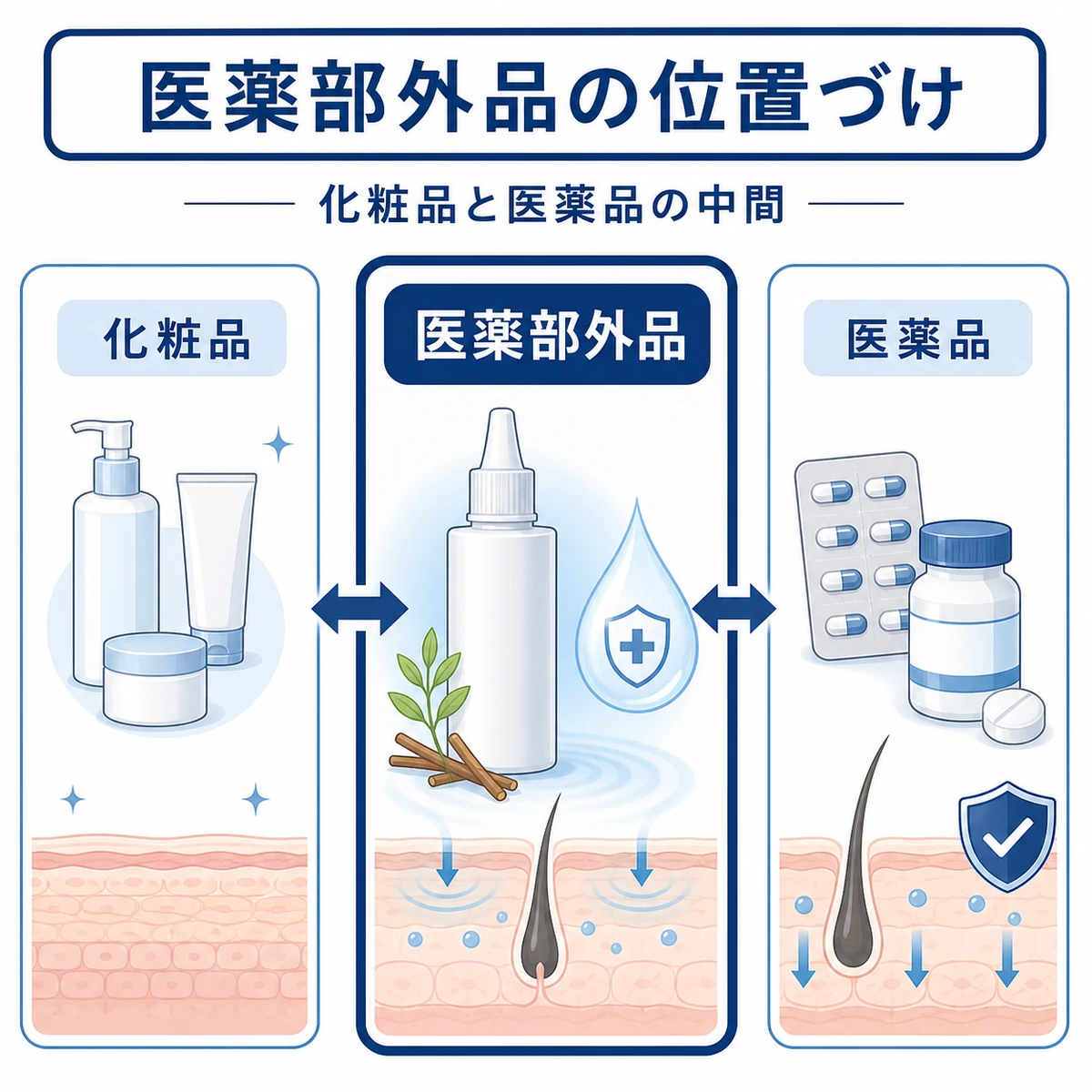 化粧品と医薬品の中間に位置する医薬部外品としてのグリチルリチン酸2Kの立ち位置を表した医療イラスト