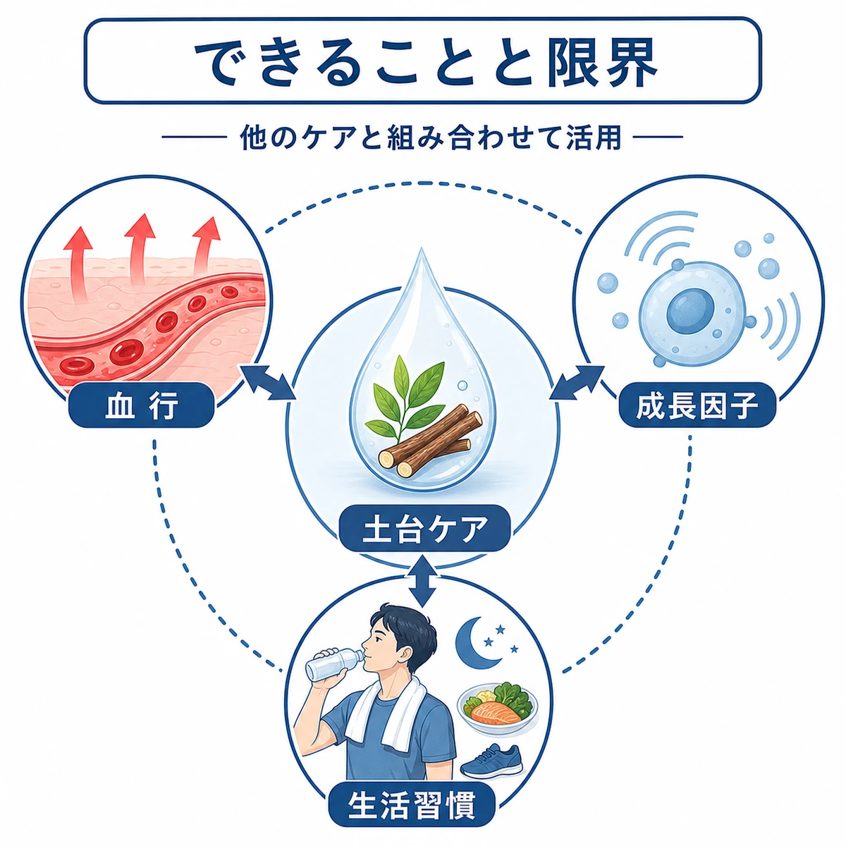 グリチルリチン酸2Kの土台ケアと補い合う他のケアの関係を相関図で表した医療イラスト