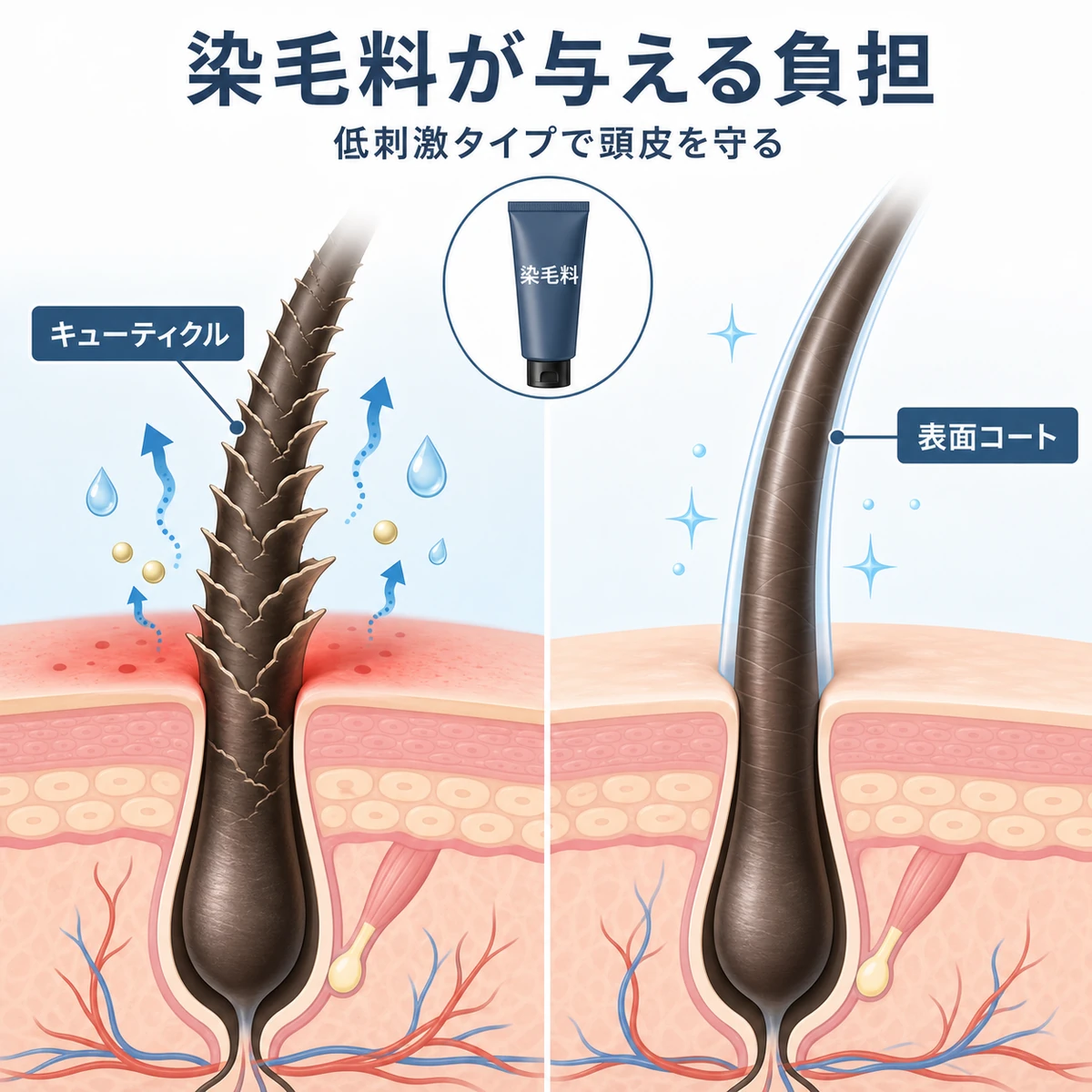 白髪染めが頭皮と髪に与える負担と低刺激タイプの違いを表した医療イラスト