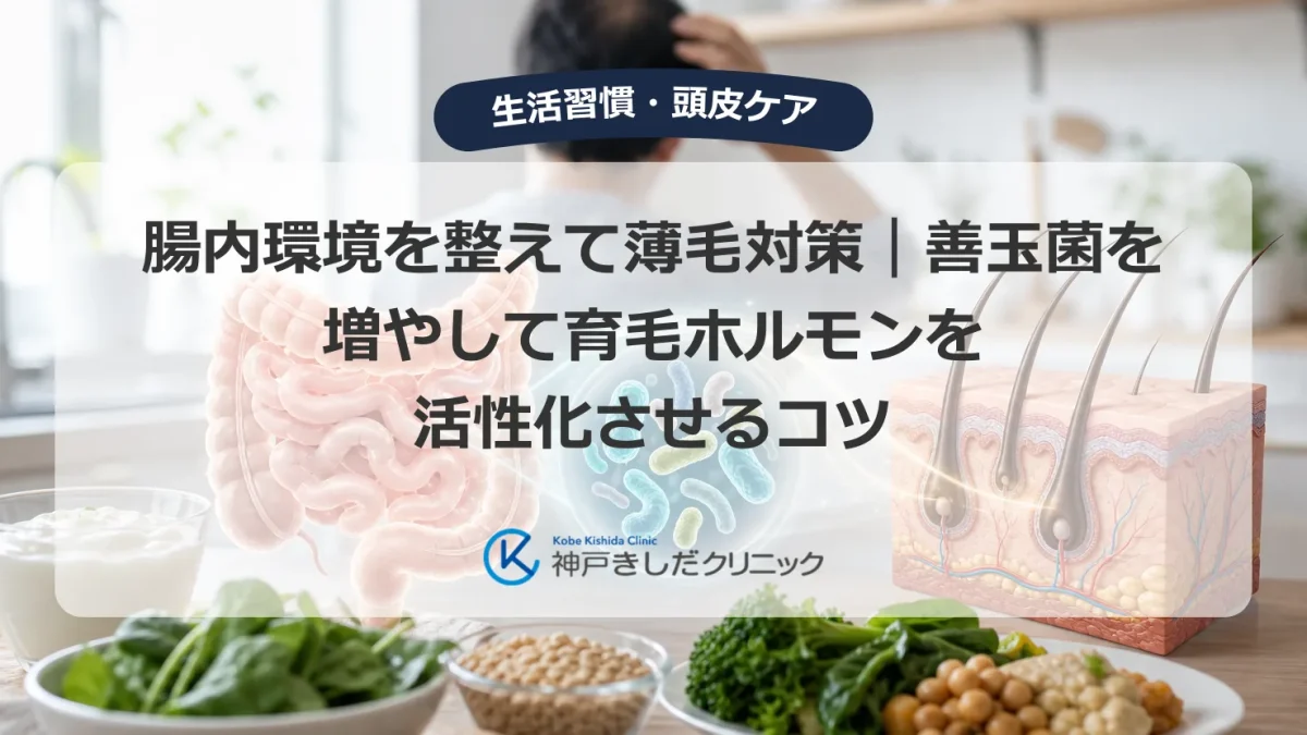腸内環境と薄毛の関わりを示す腸と頭皮の医療イメージ