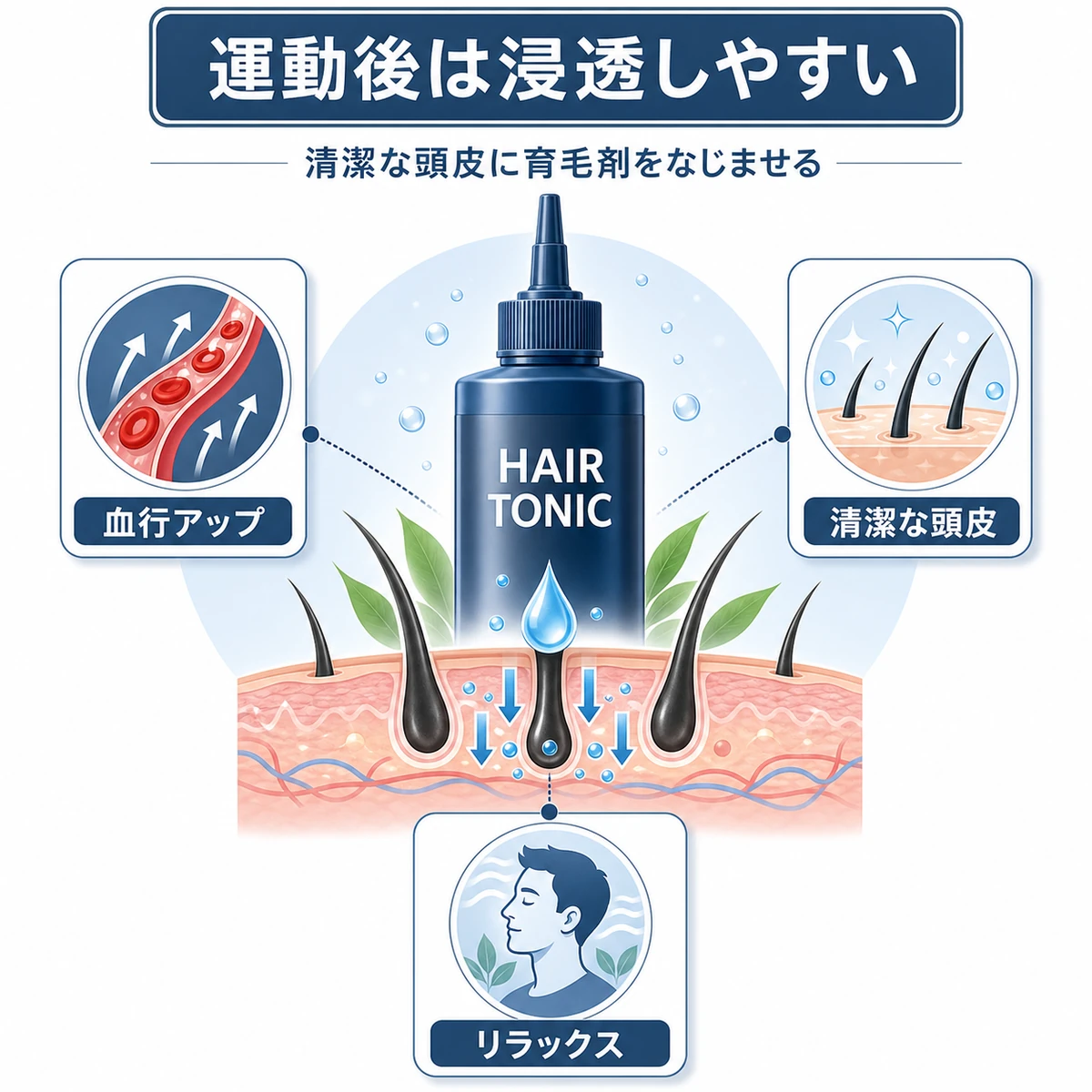 運動後の頭皮に育毛剤の成分が浸透しやすくなる3つの理由を表した医療イラスト