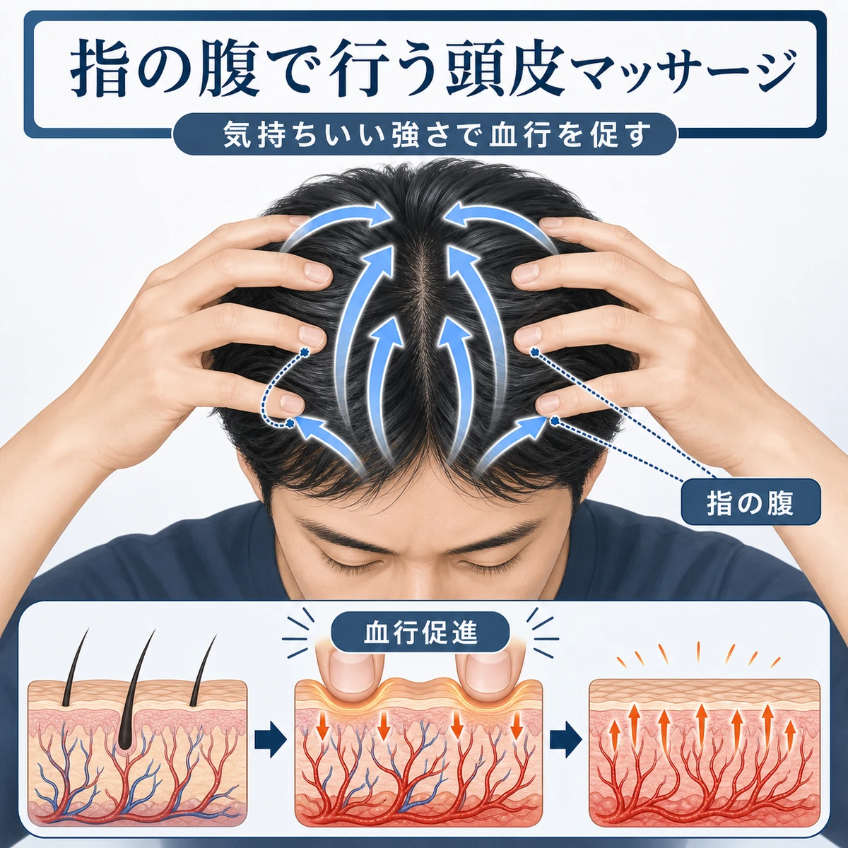 指の腹で頭皮を動かすマッサージと血行促進の仕組みを表した医療イラスト