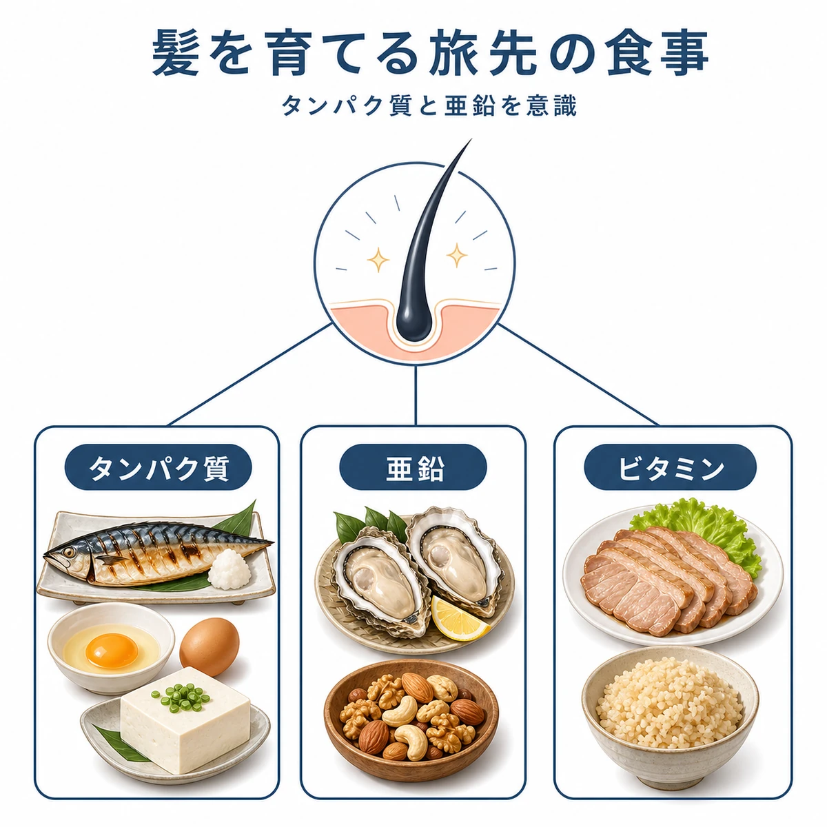 旅先で選びたいタンパク質や亜鉛を含む食材を分類して表した育毛の医療イラスト
